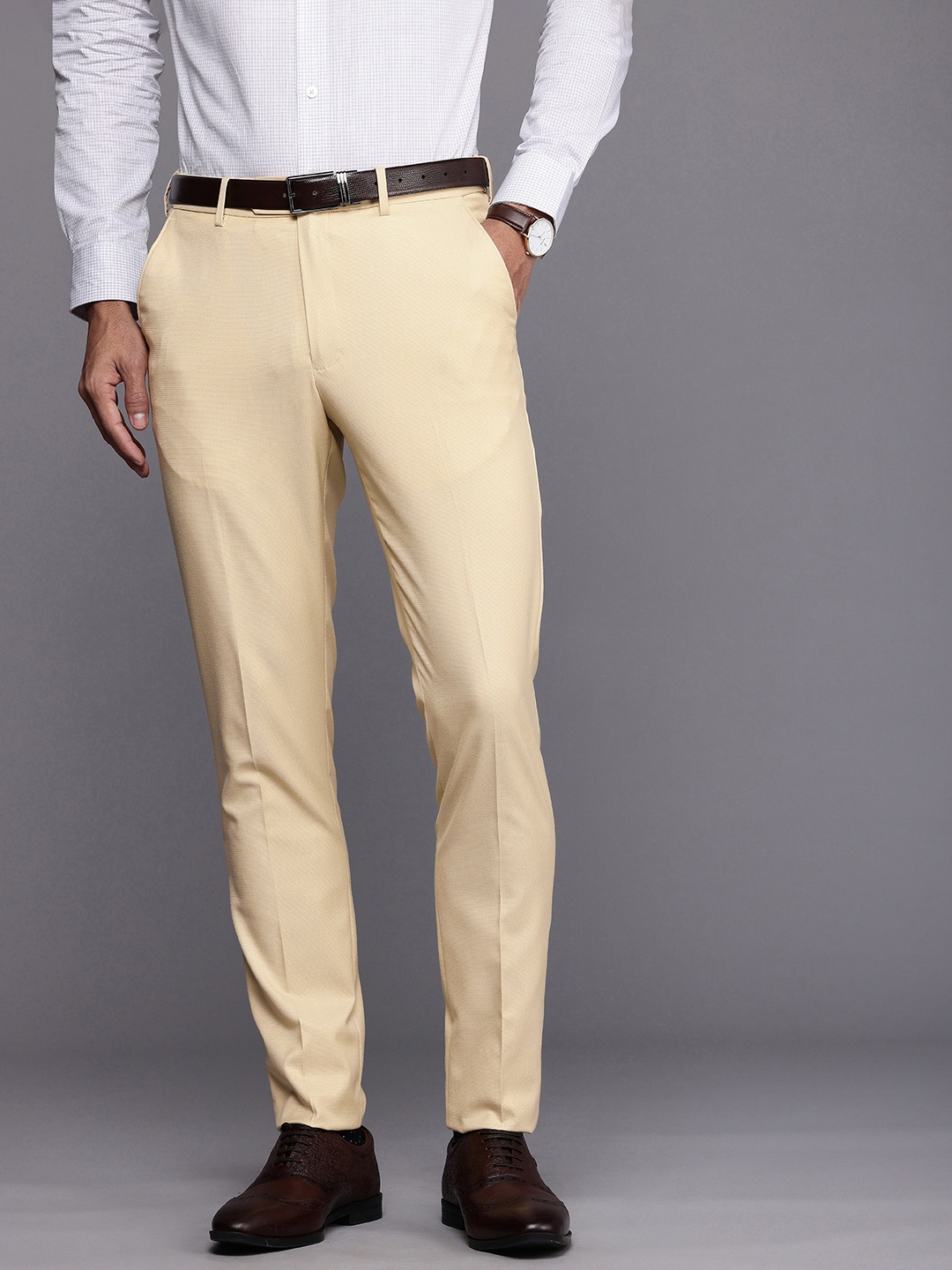 

Louis Philippe Men Textured Slim Tapered Fit Formal Trousers, Beige