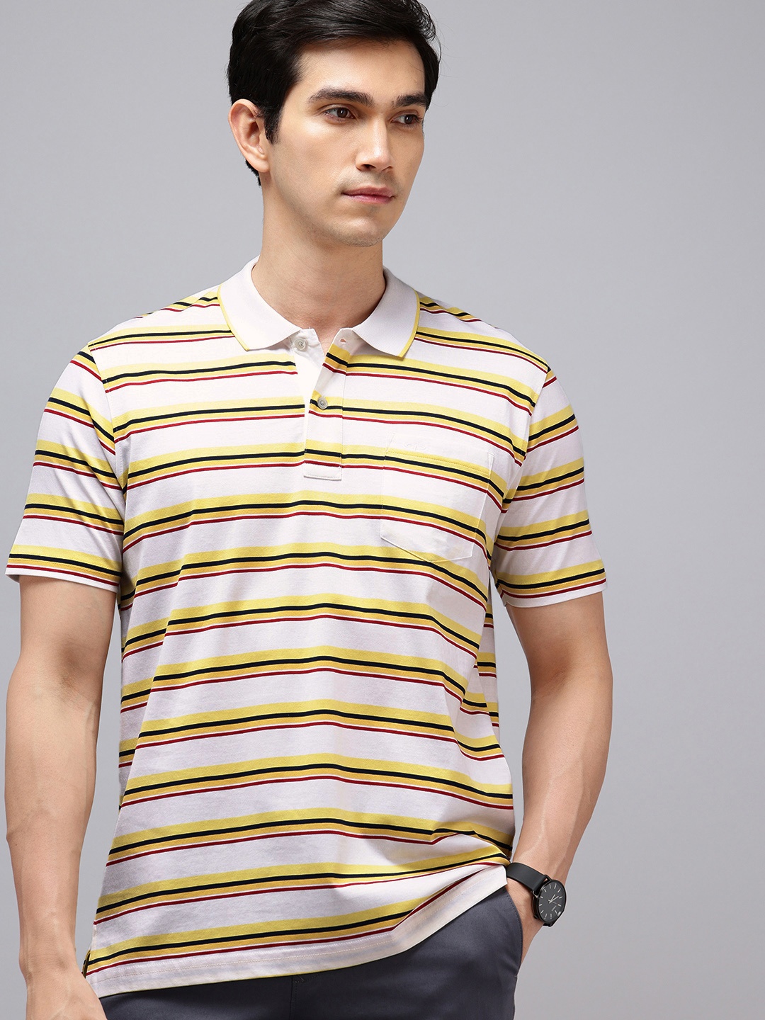 

ColorPlus Striped Polo Collar Pure Cotton T-shirt, White