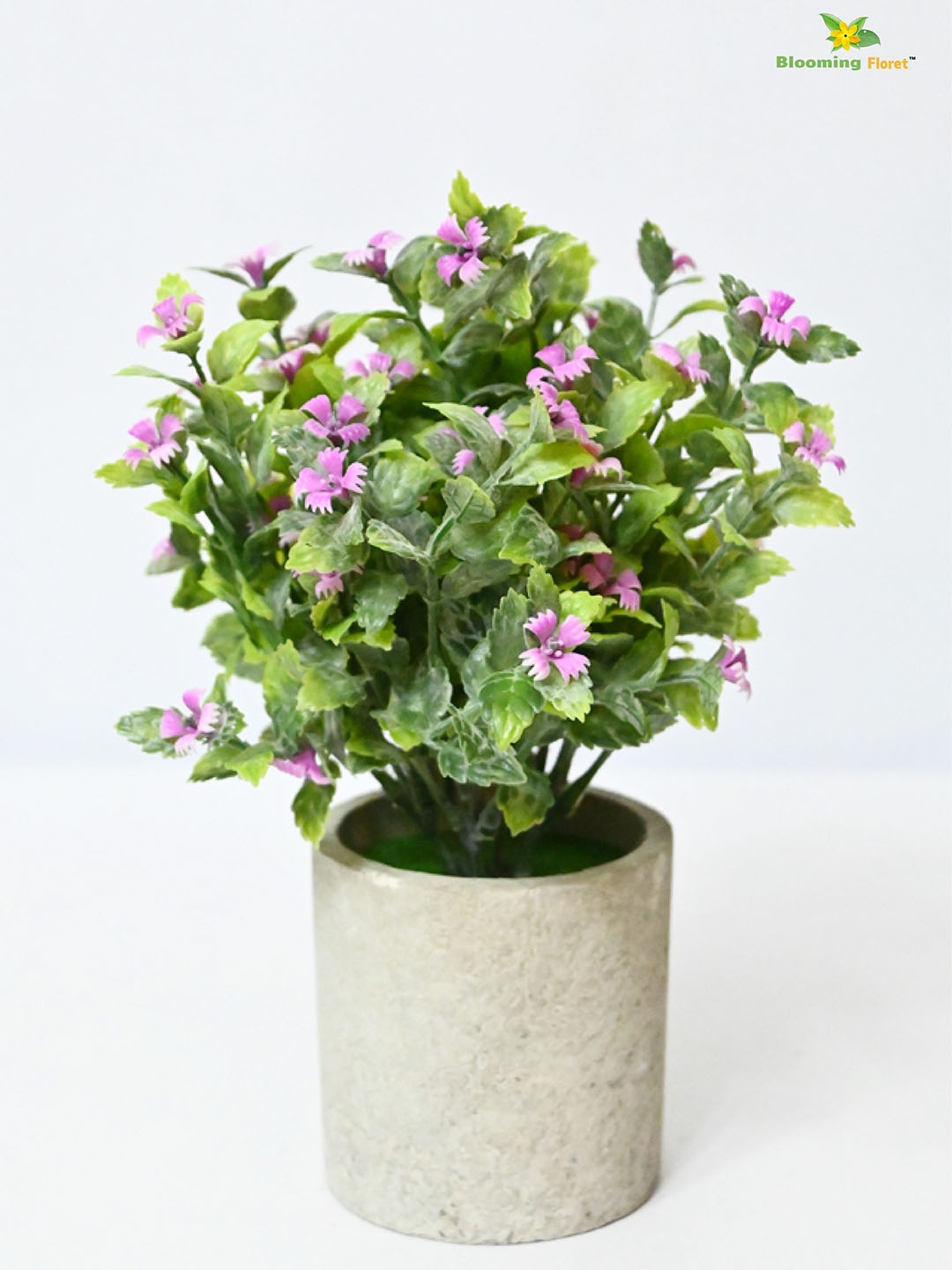 

Blooming Floret Green & Beige Artificial Plant With Pot