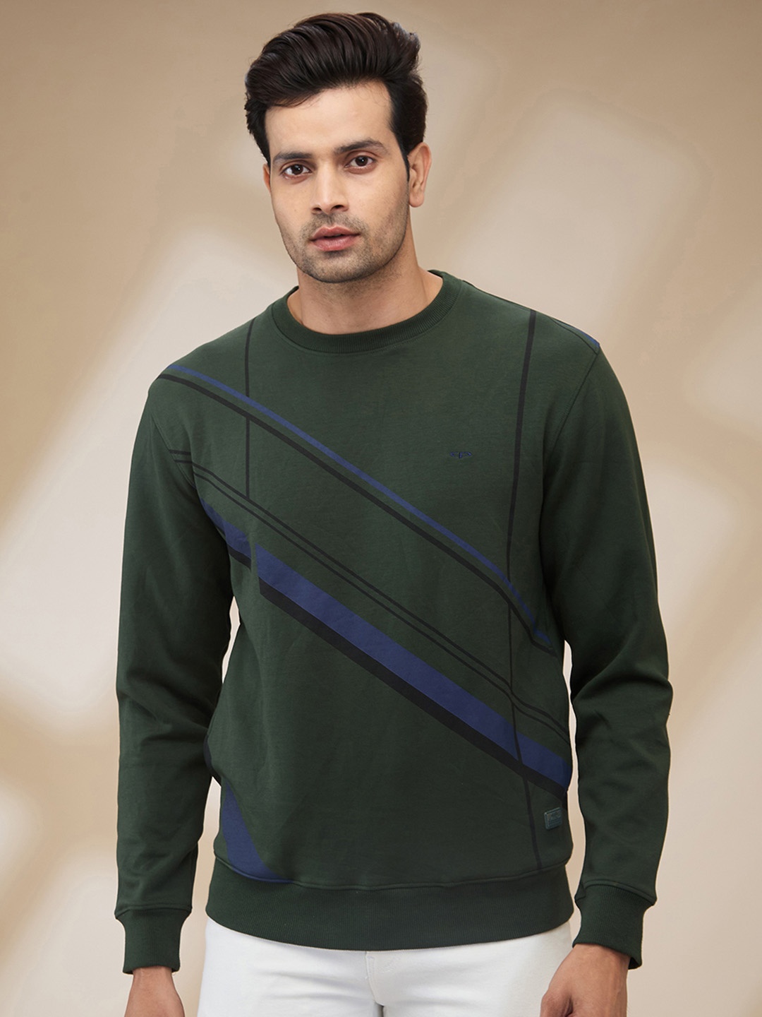 

ColorPlus Men Striped Pullover Sweatshirt, Green