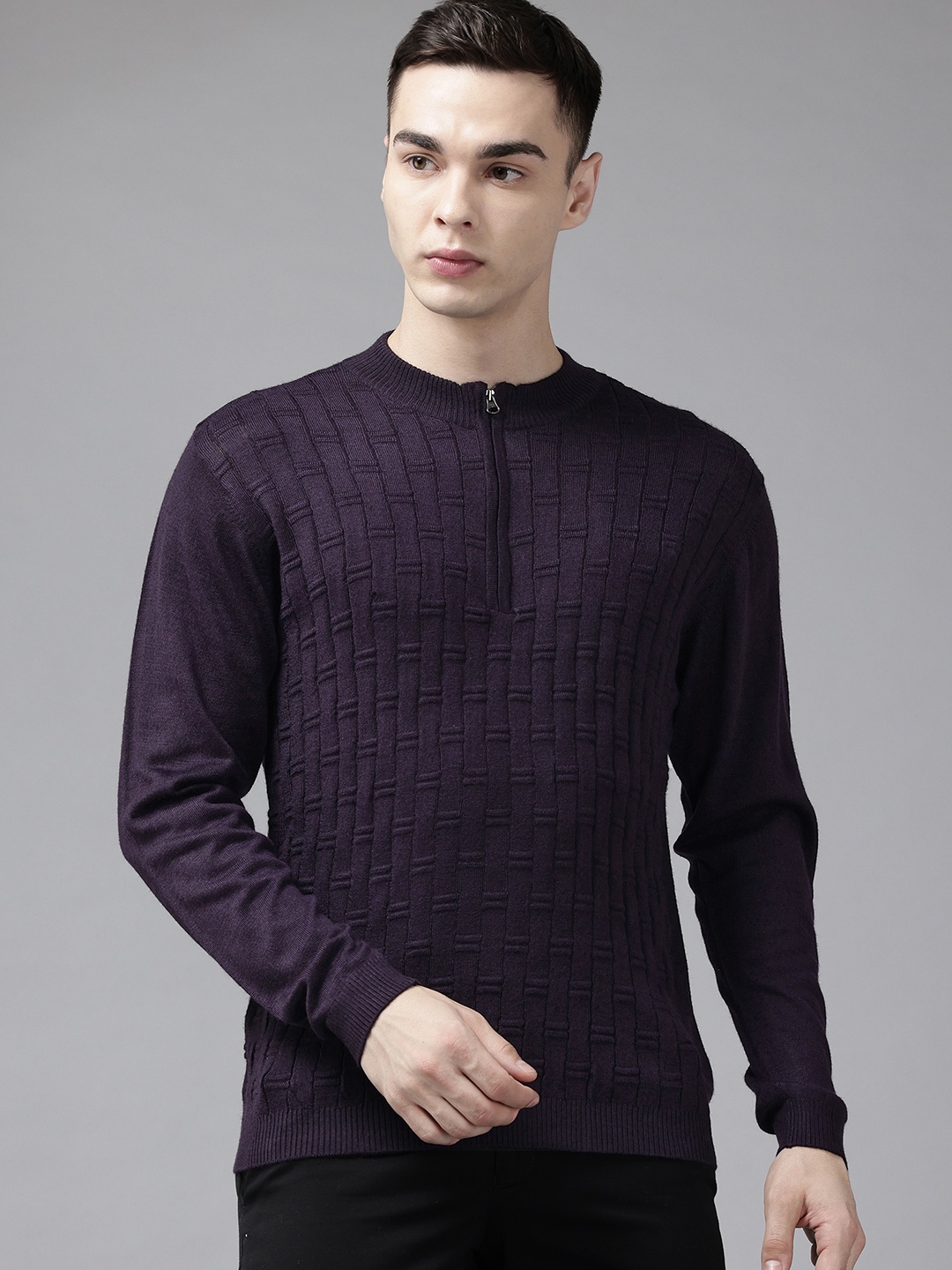 

Park Avenue Self Design Half Zipper Pullover Sweaters, Purple