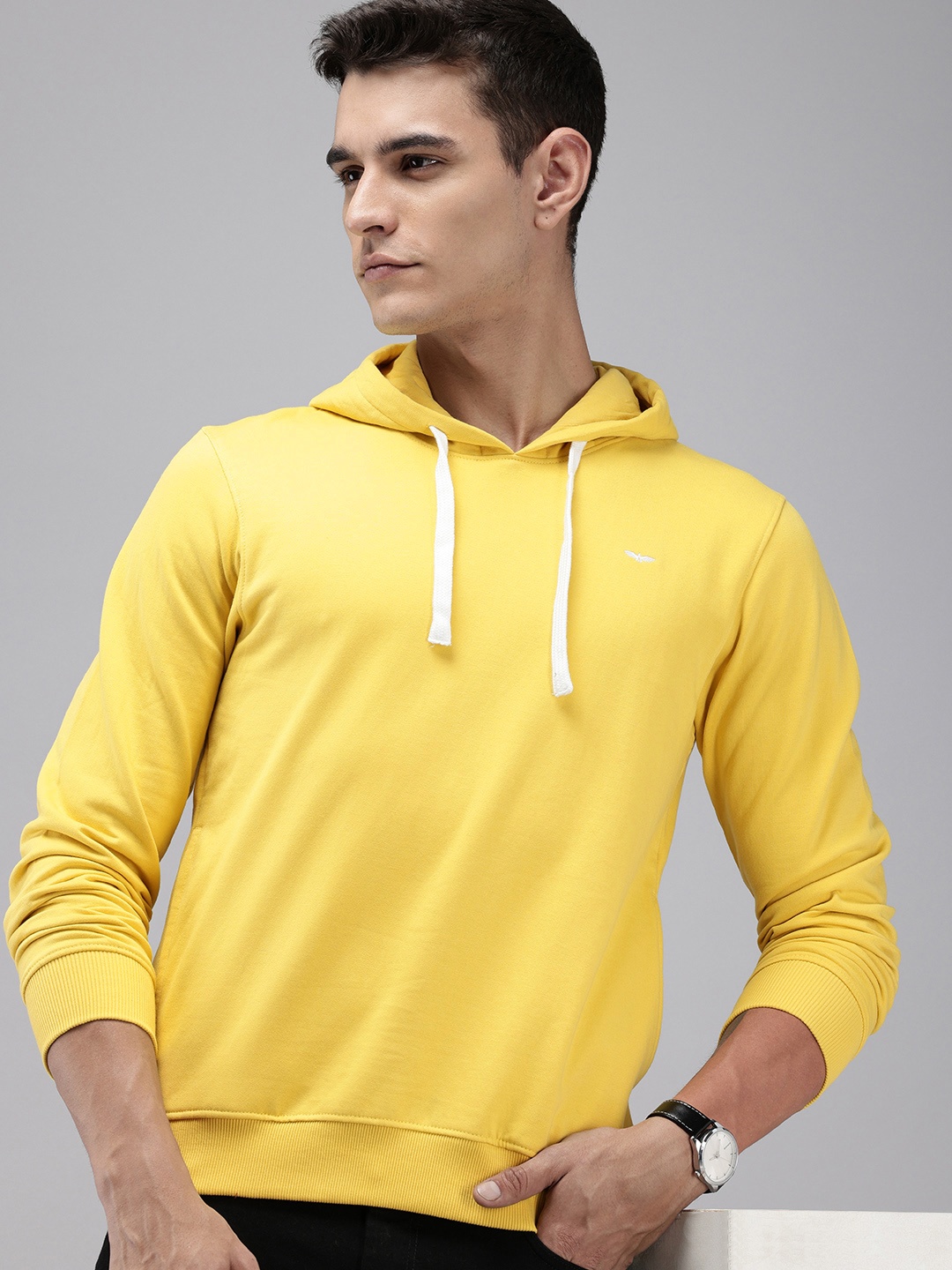 

Park Avenue Slim Fit Hooded Pullover Sweatshirt, Yellow