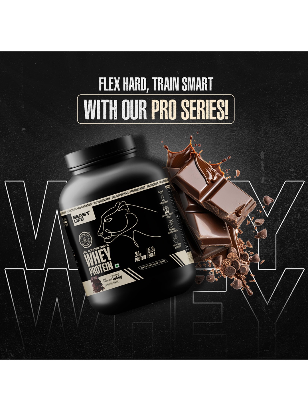 

BeastLife Pro Whey Protein - 1848 g - Chocolate Flavor, Black