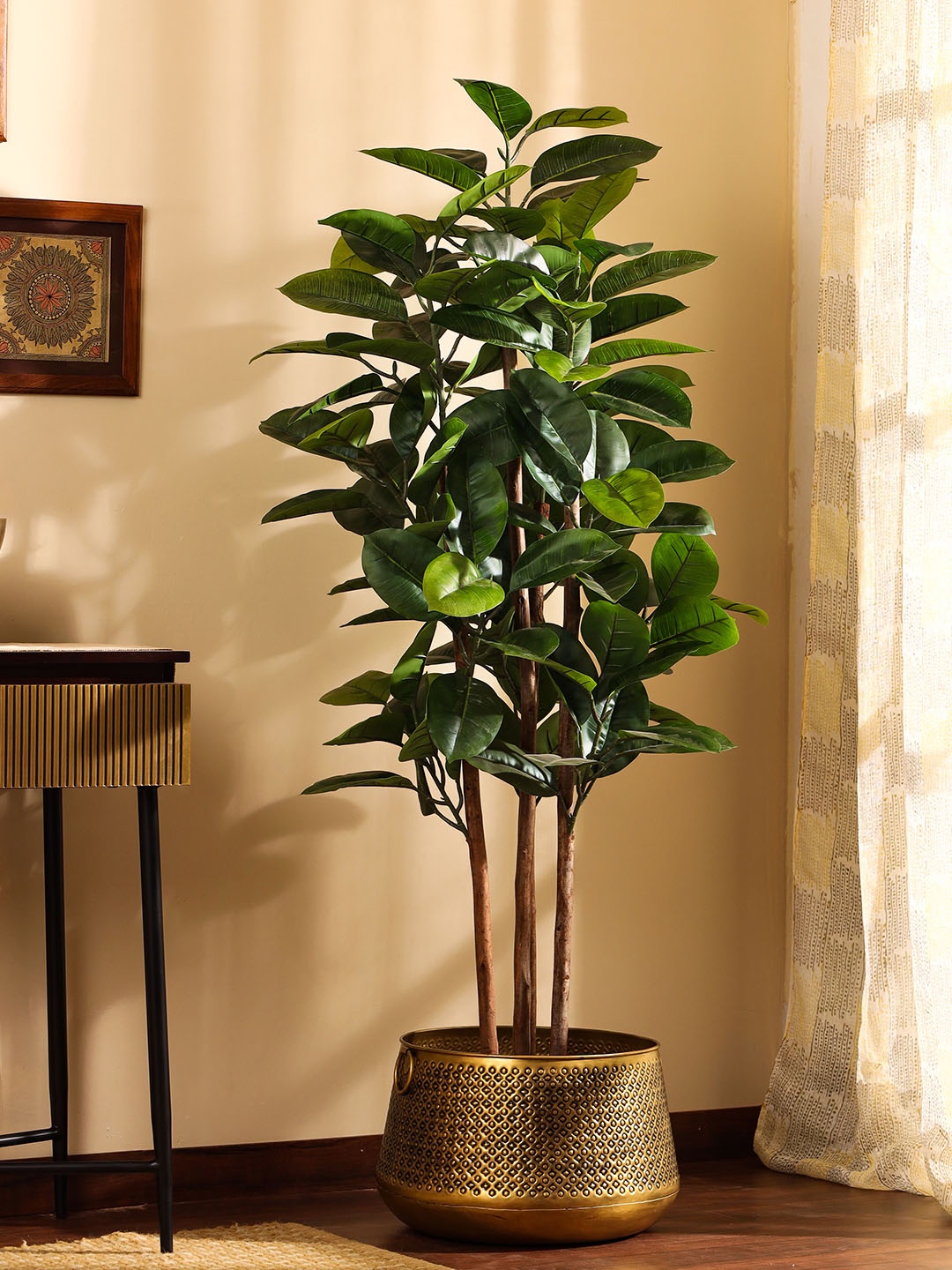 

Elemntl Green Rubber Plant With Black Pot