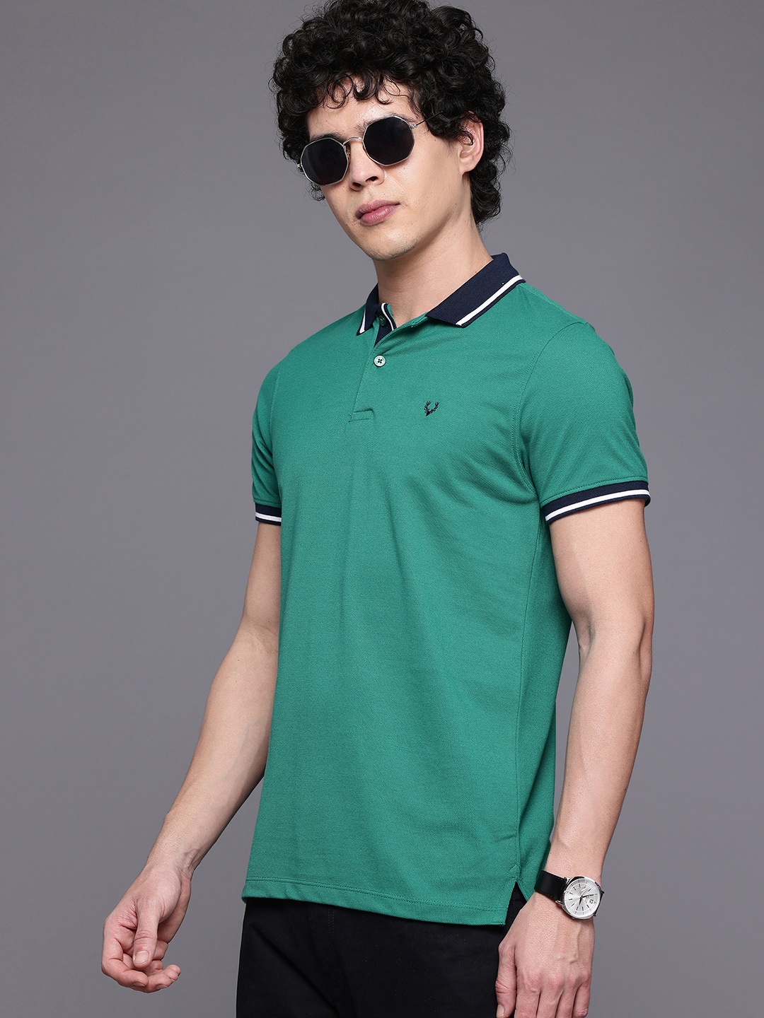 

Allen Solly Men Polo Collar T-shirt, Green