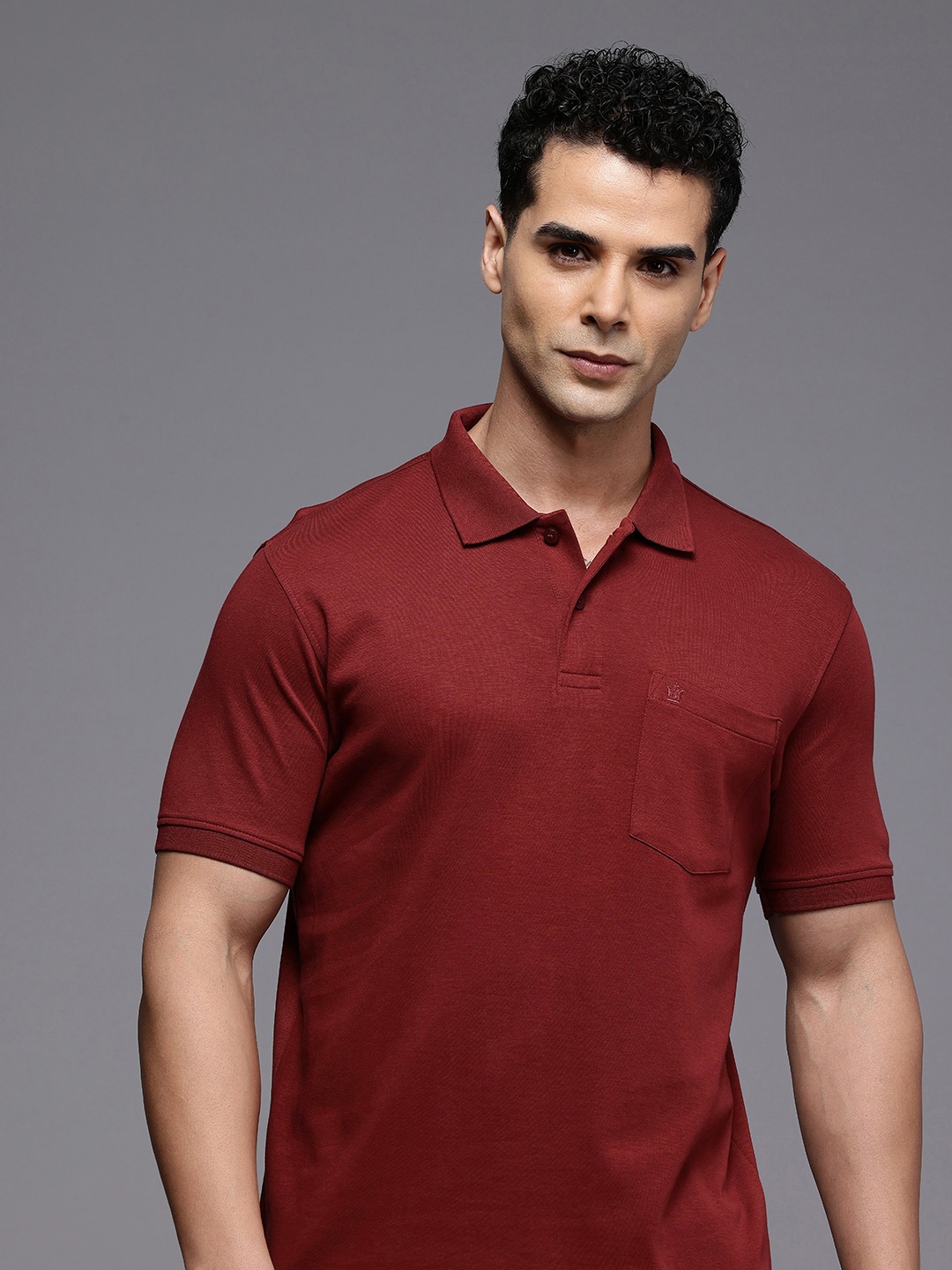 

Louis Philippe Pure Cotton Polo Collar T-shirt, Maroon