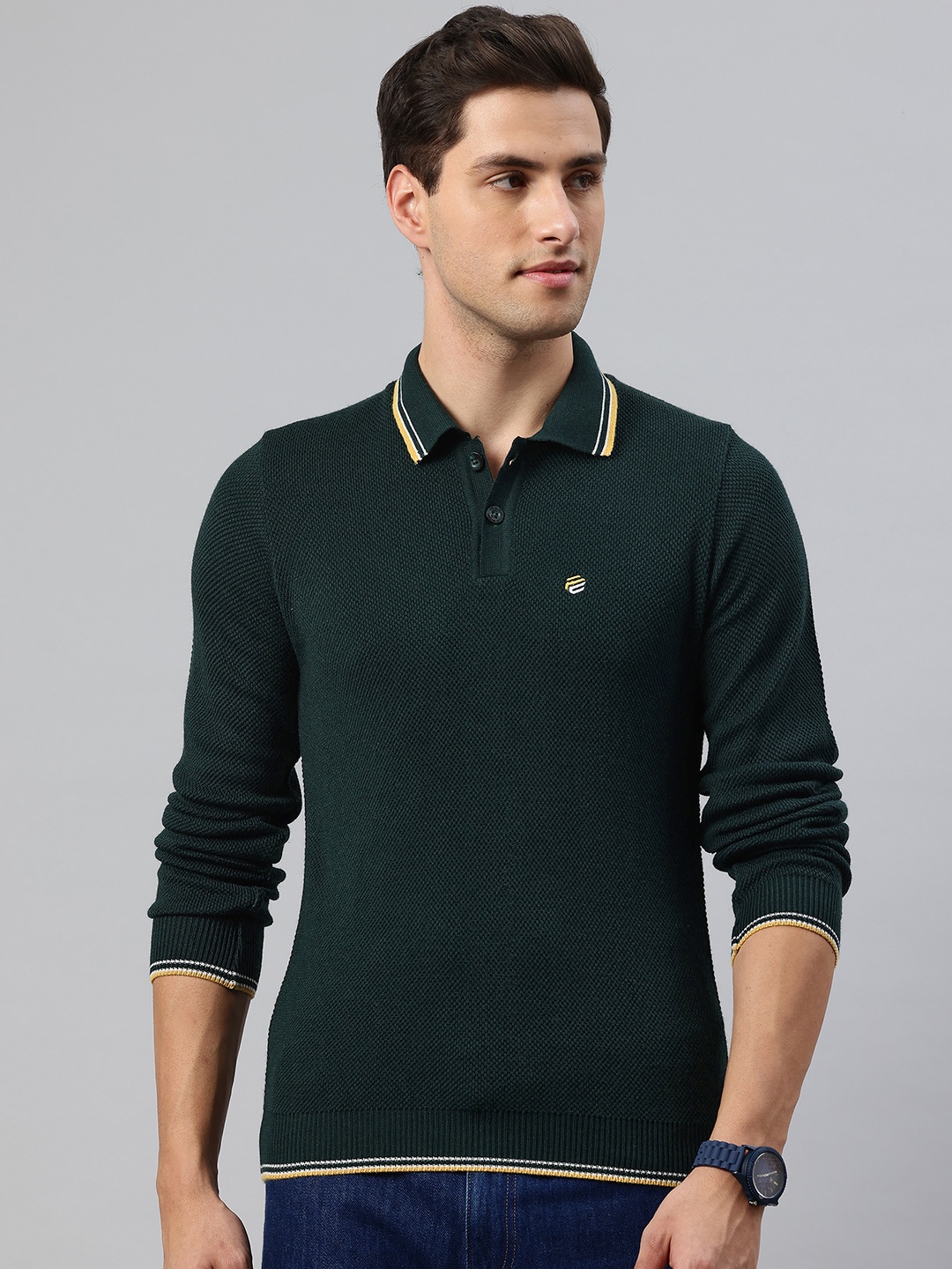 

Pierre Carlo Men Polo Neck Pullover, Green