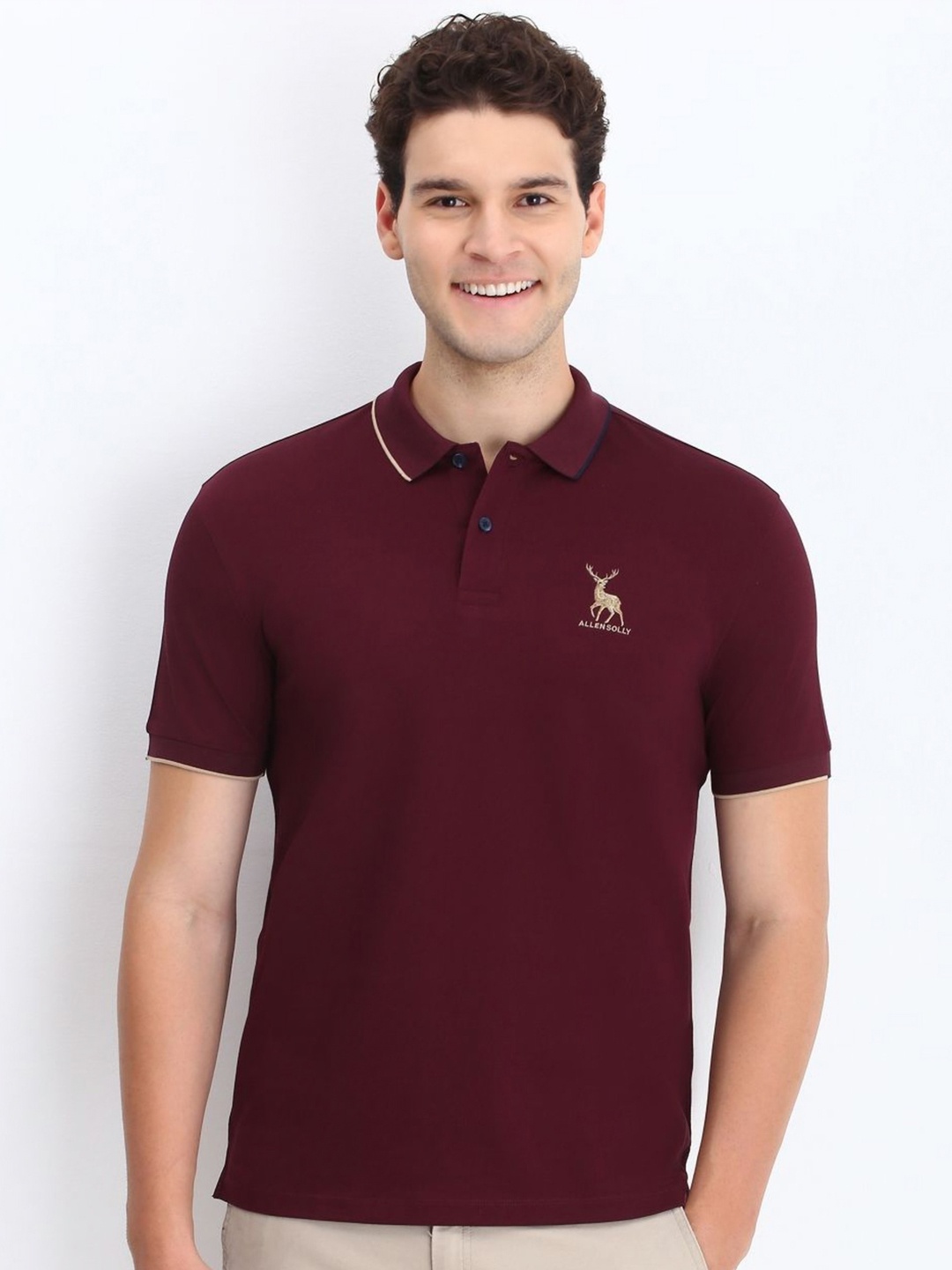 

Allen Solly Men Solid Polo Collar Cotton T-shirt, Maroon