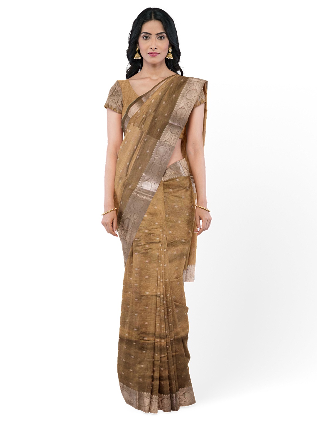 

Avishya Woven Design Zari Tissue Banarasi Saree, Brown