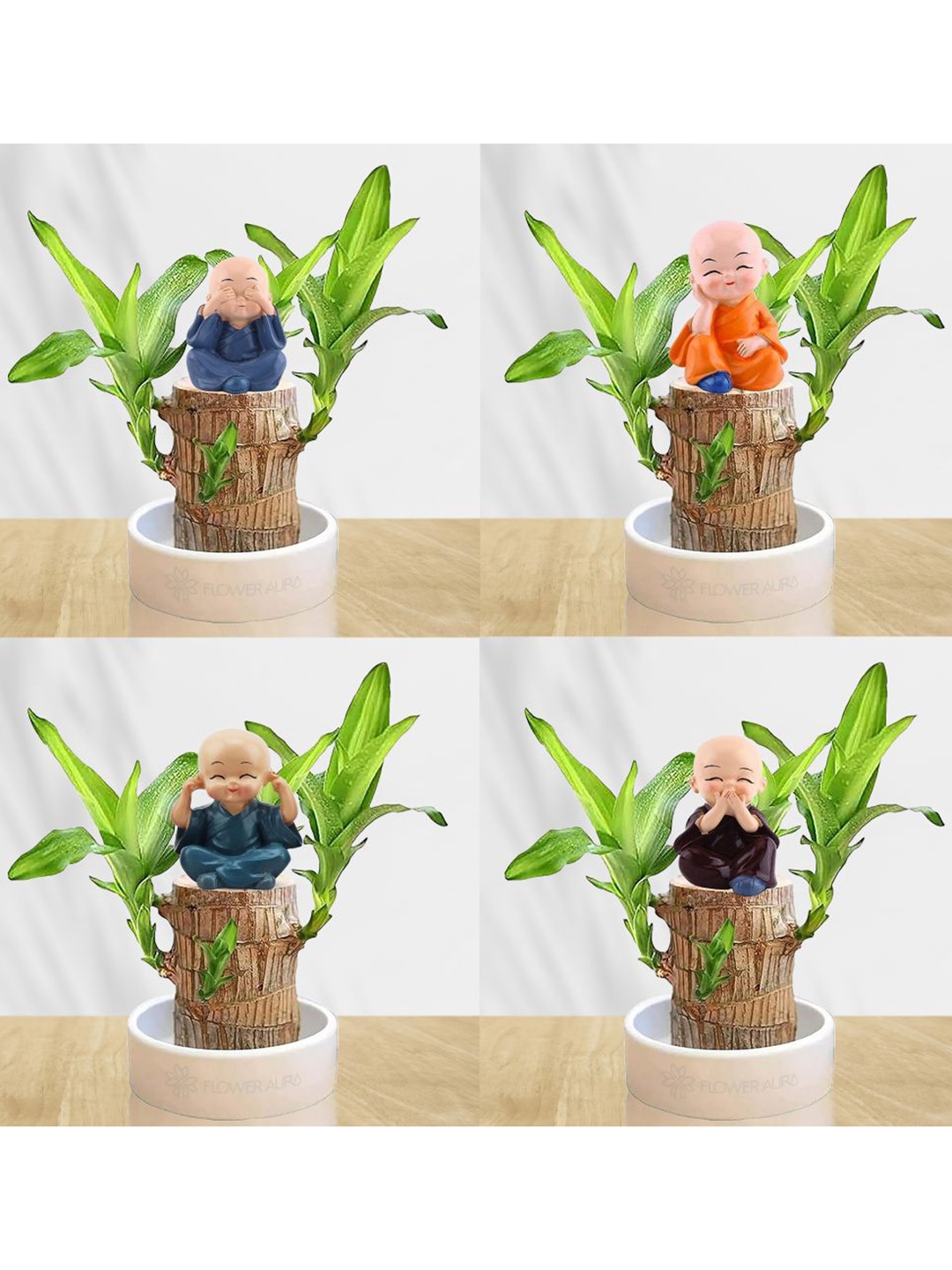 

Floweraura 4-Pcs Green & Brown Lucky Brazilian Wood Plant With Buddha Monks