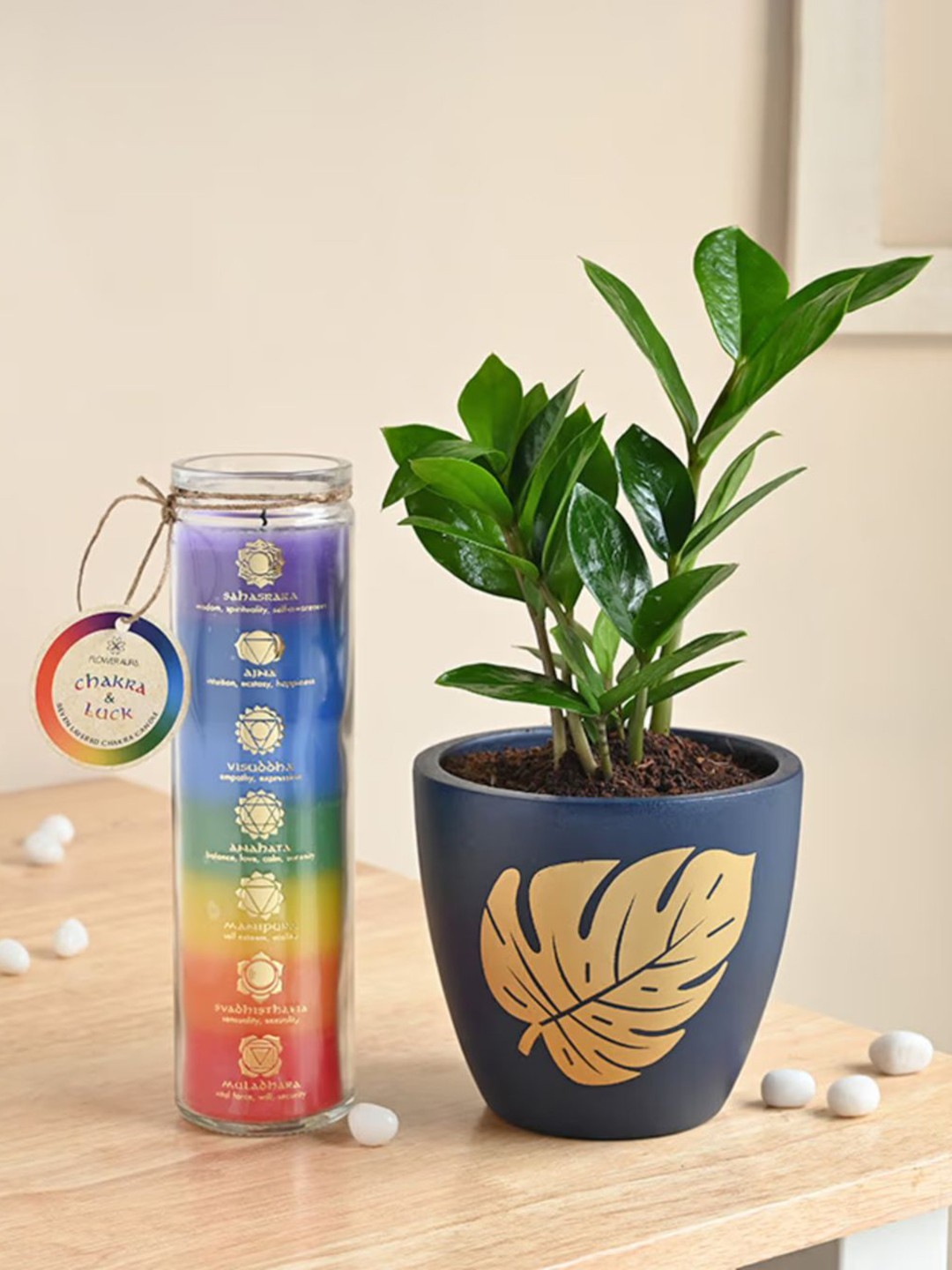 

Floweraura Green & Blue Zamia Plant In Pot With Candle