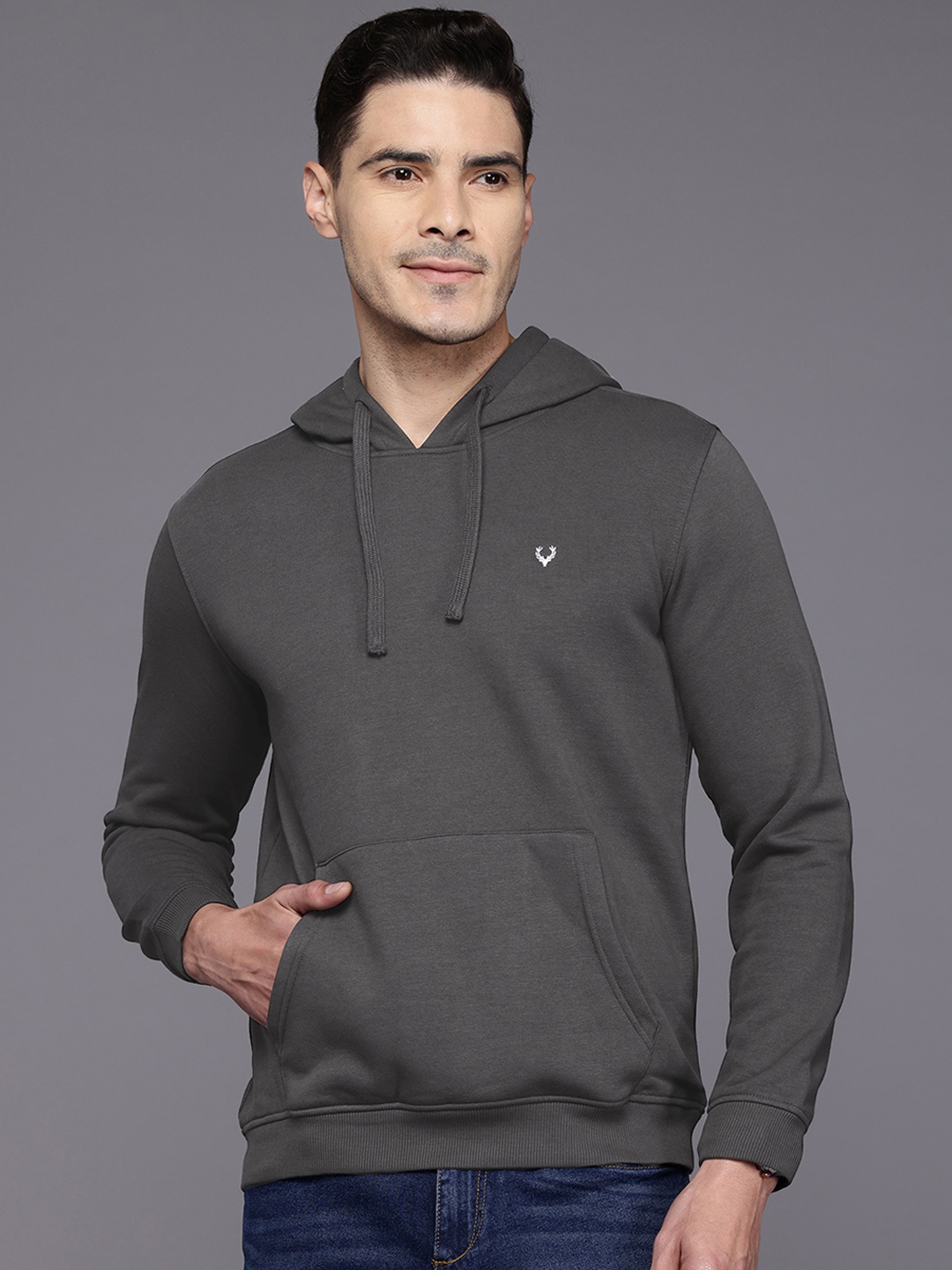 

Allen Solly Hooded Sweatshirt, Grey