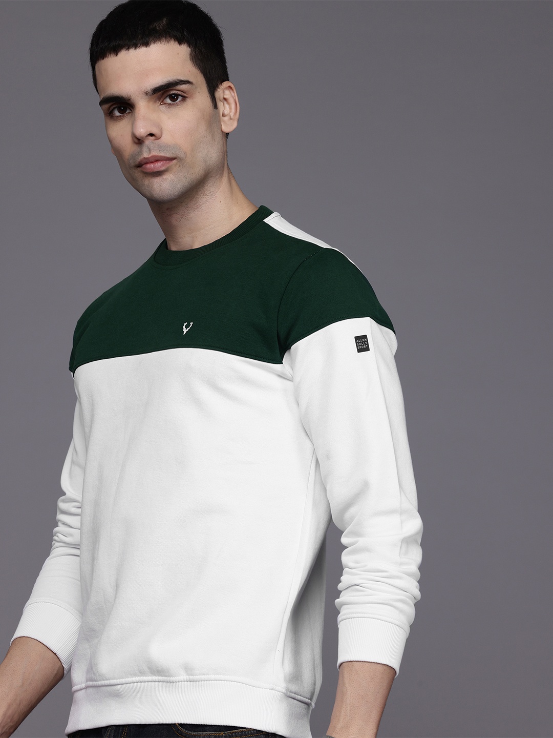 

Allen Solly Colourblocked Long Sleeves Sweatshirt, Green