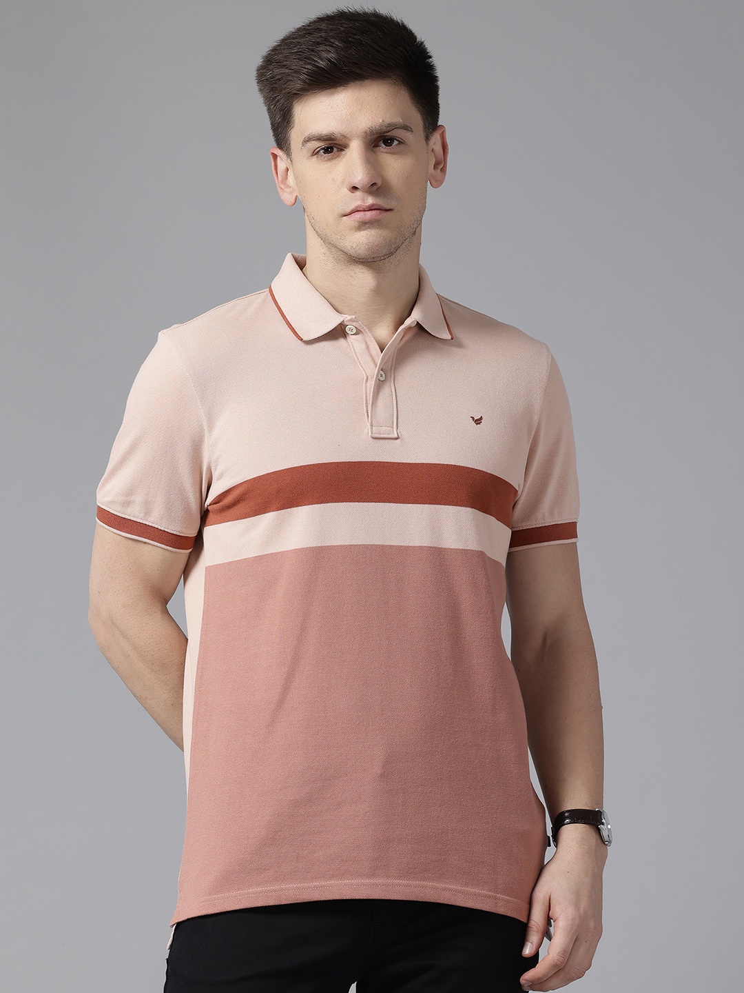 

Blackberrys Striped Polo Collar Slim Fit T-shirt, Pink