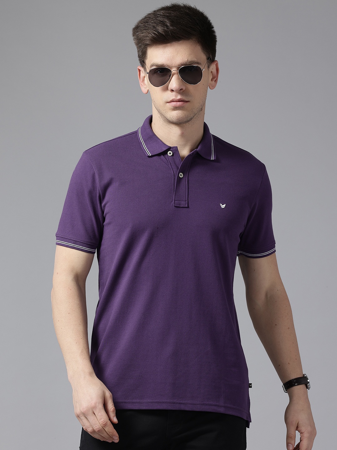 

Blackberrys Polo Collar Slim Fit T-Shirt, Purple