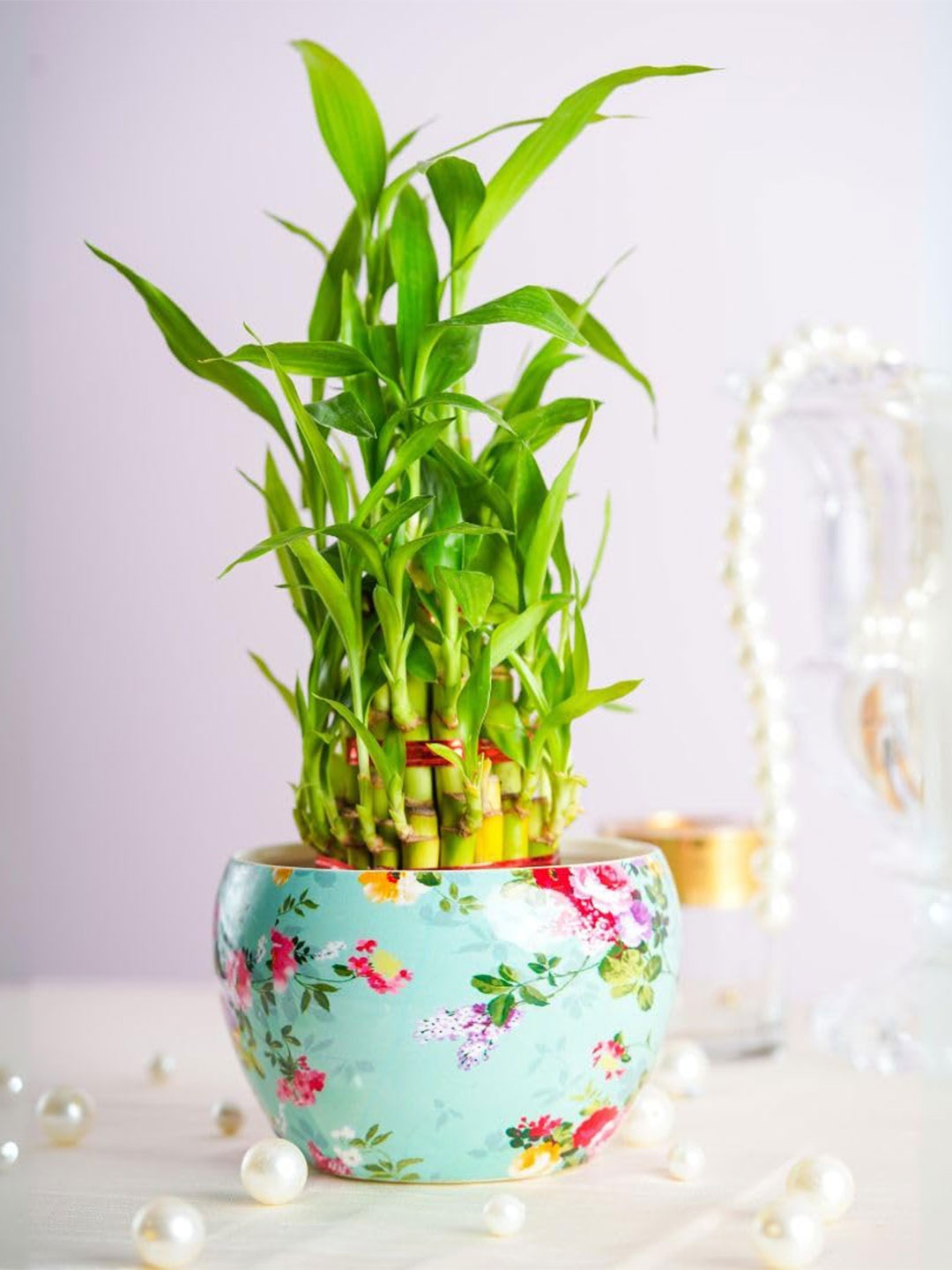 

Floral Boutique Green & Blue 3 Layer Lucky Bamboo Plant With Metal Pot