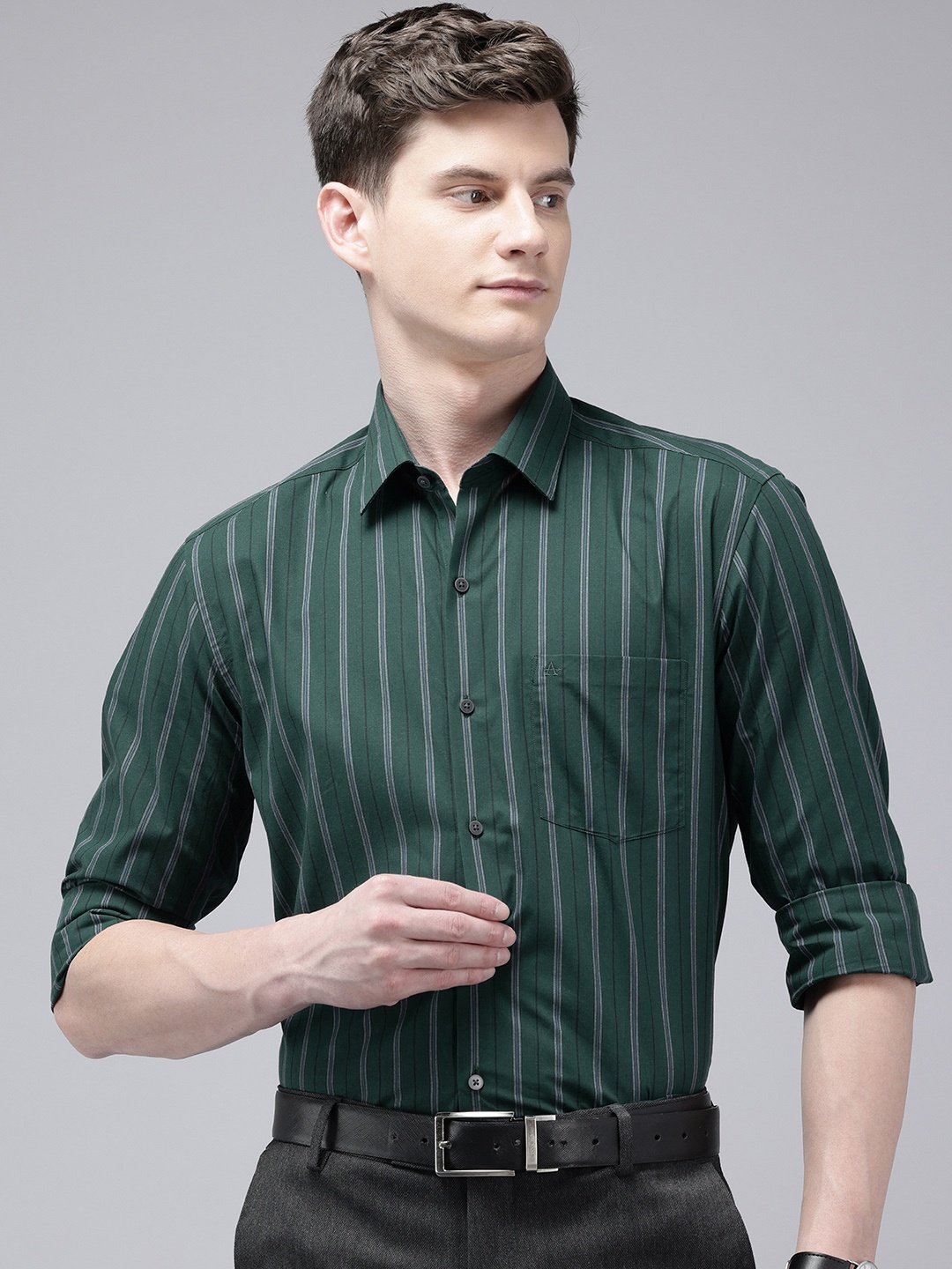 

Arrow Pure Cotton Manhattan Slim Fit Striped Formal Shirt, Green
