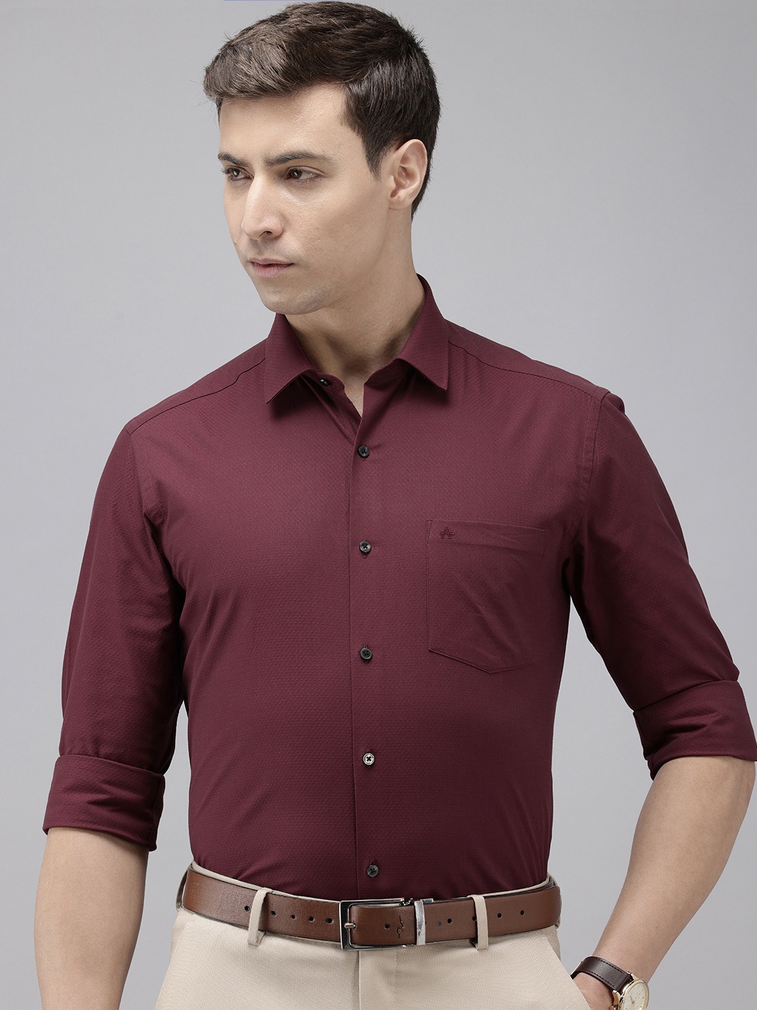 

Arrow Pure Cotton Self Design Manhattan Slim Fit Textured Formal Shirt, Maroon