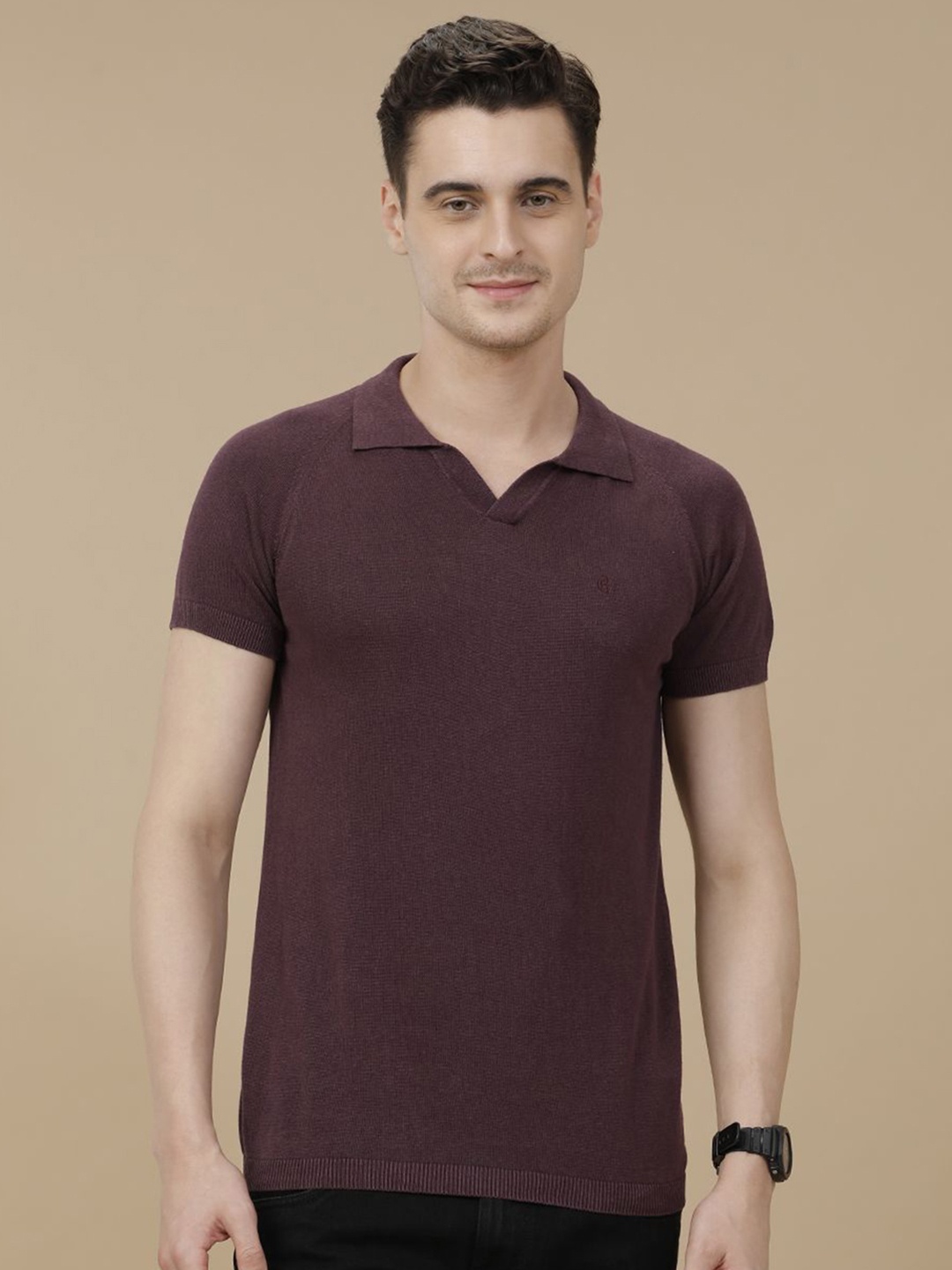 

CAVALLO by Linen Club Polo Collar Contemporary Fit T-shirt, Purple