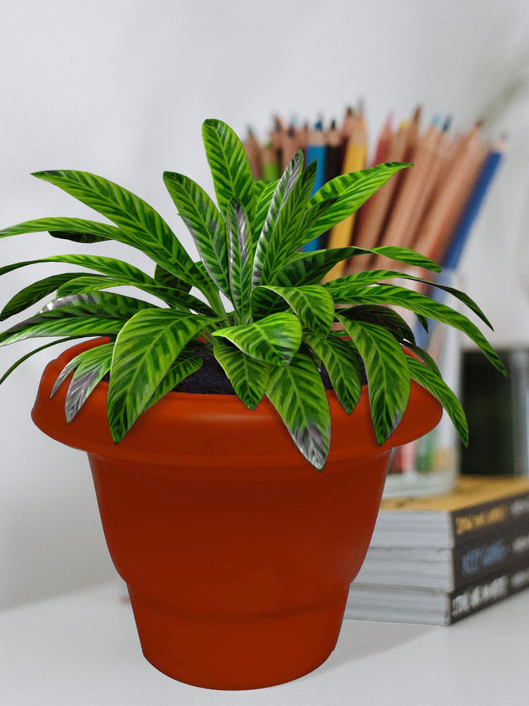 

Urban Choice Orange Flowerpot