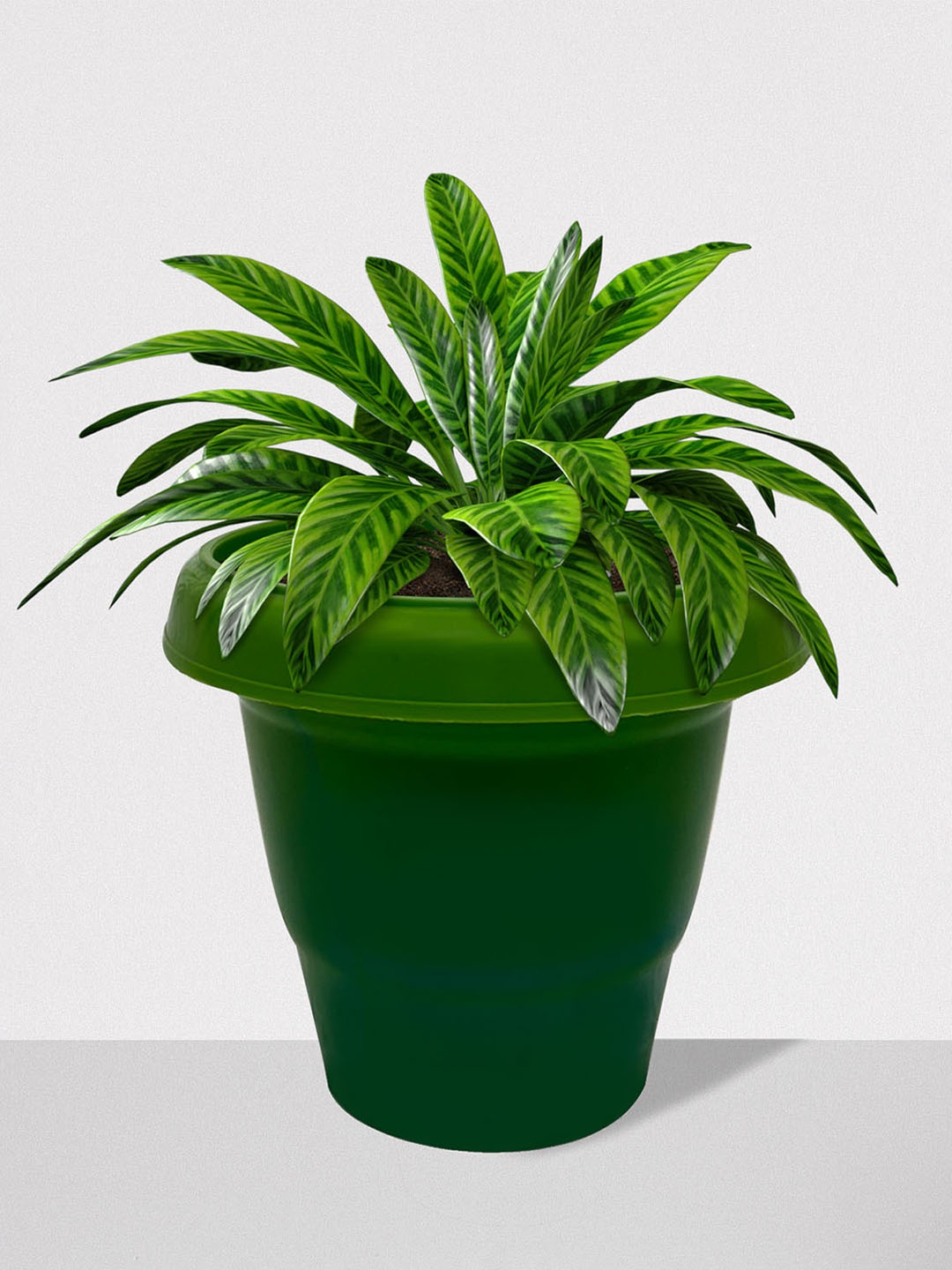 Urban Choice Green 1 Pieces Core