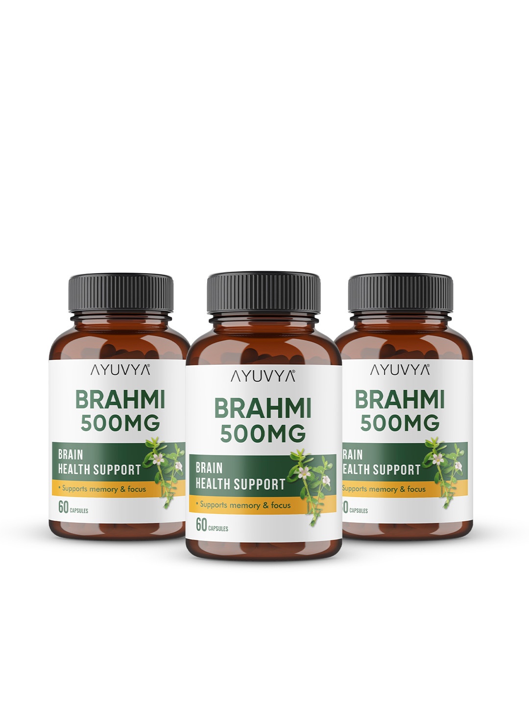 

Ayuvya Set Of 3 Brahmi 500mg Capsules - 60 N Each, Transparent
