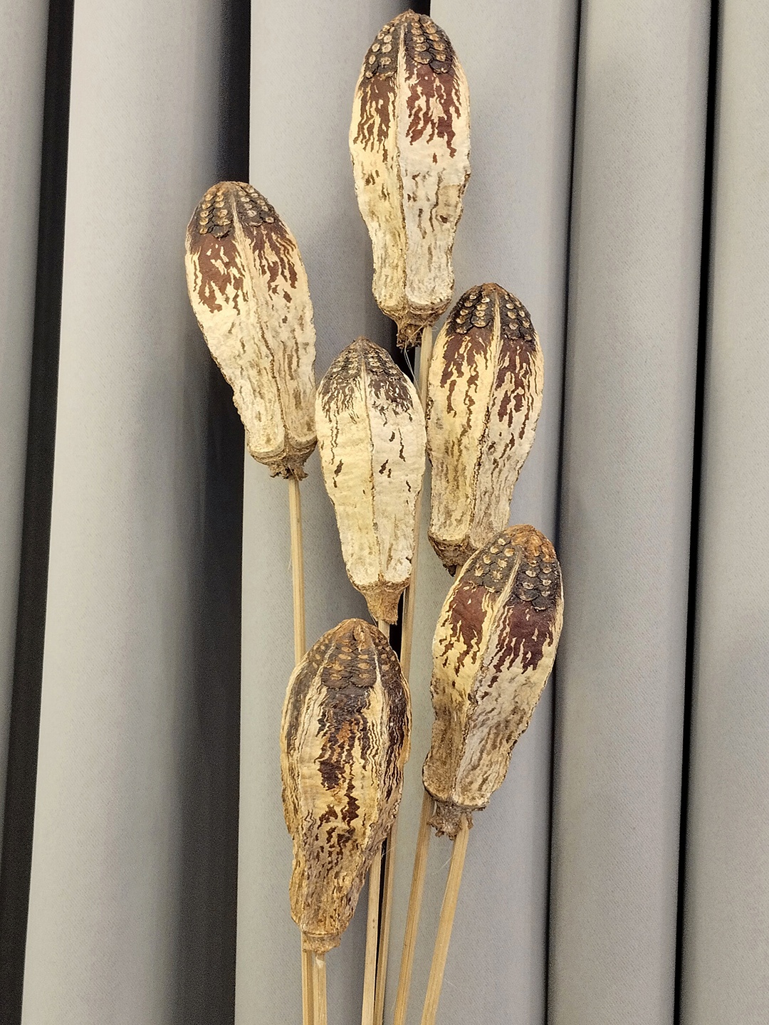 

Myntra Elegant Homes Beige 1 Bunch Alstroemeria Artificial Flower