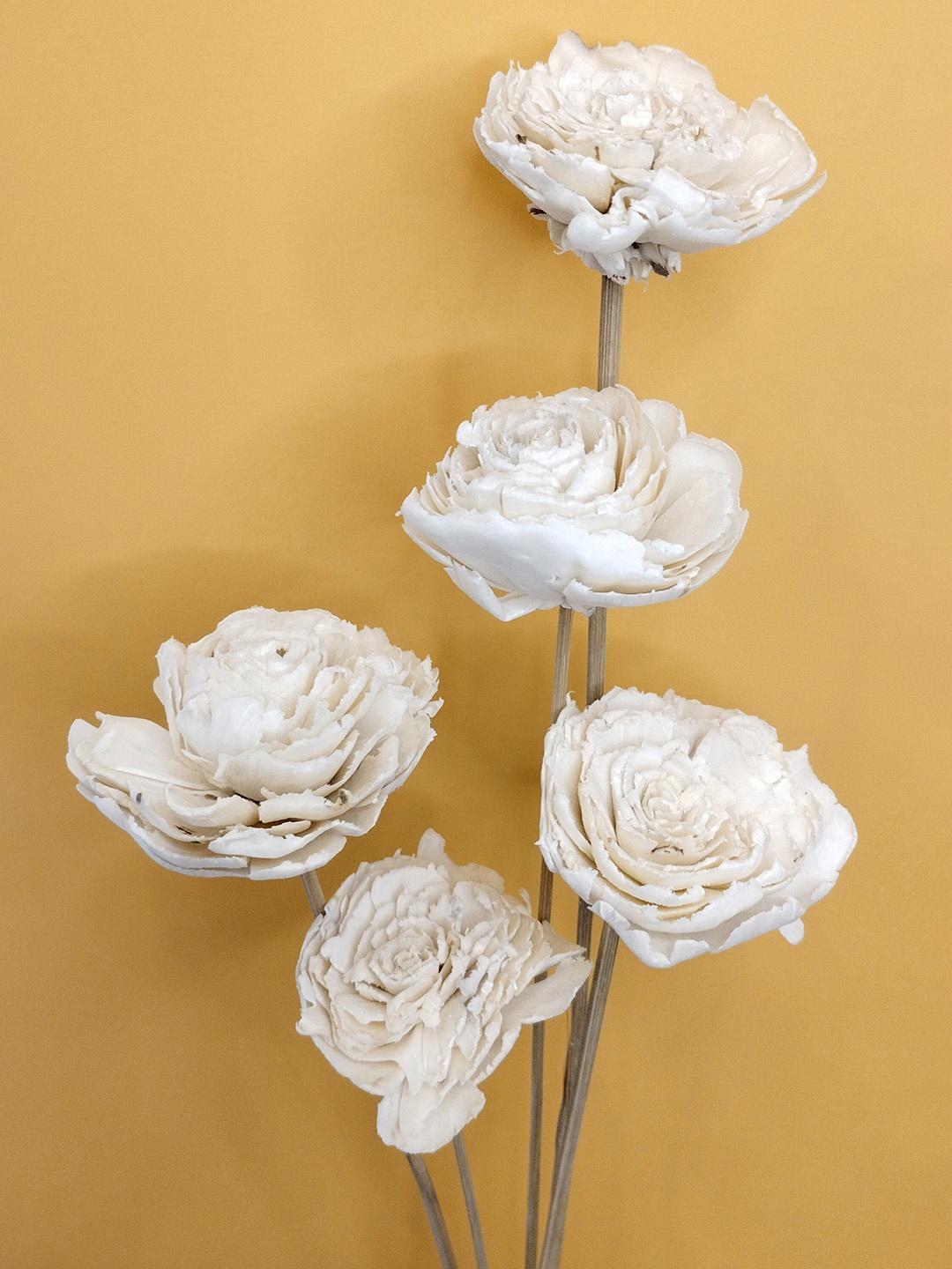

Myntra Elegant Homes White 1 Bunch Rose Artificial Flower