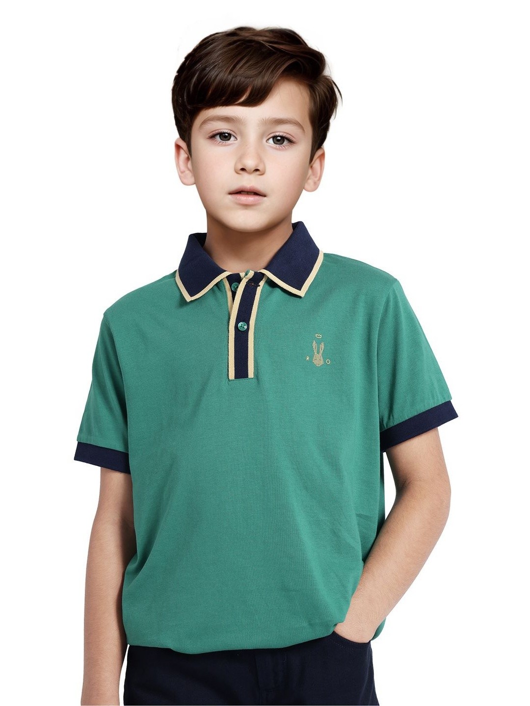 

Rare Ones Boys Contrasting Collar Solid Polo, Green