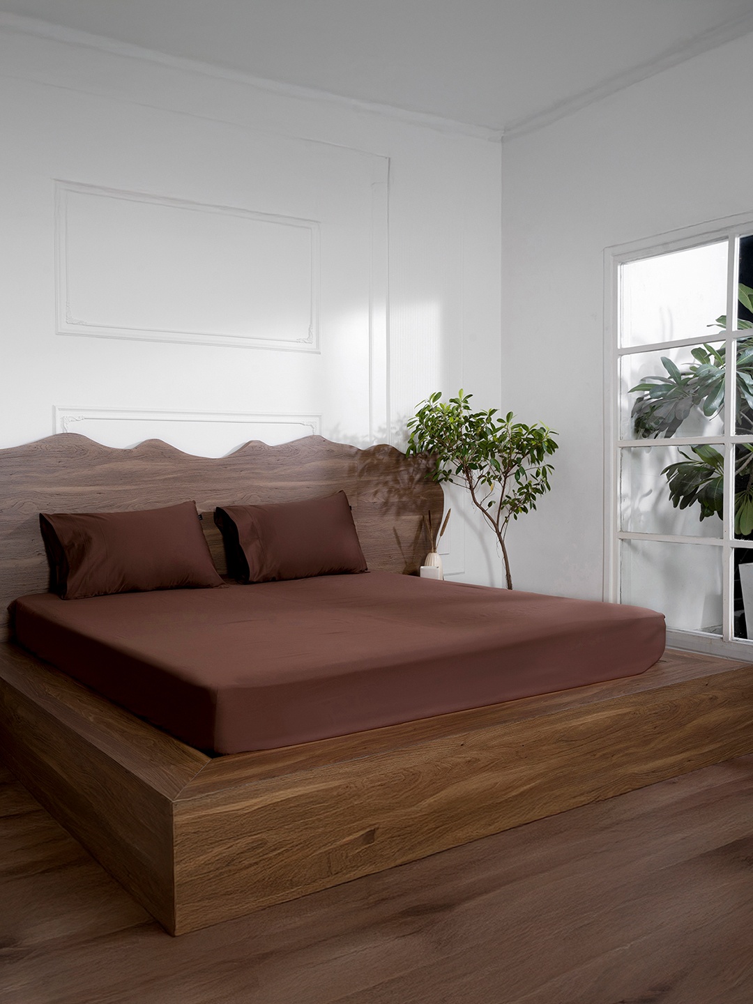 

BELIHODE Luxury Brown Cotton Fitted 500 TC King Bedsheet Set