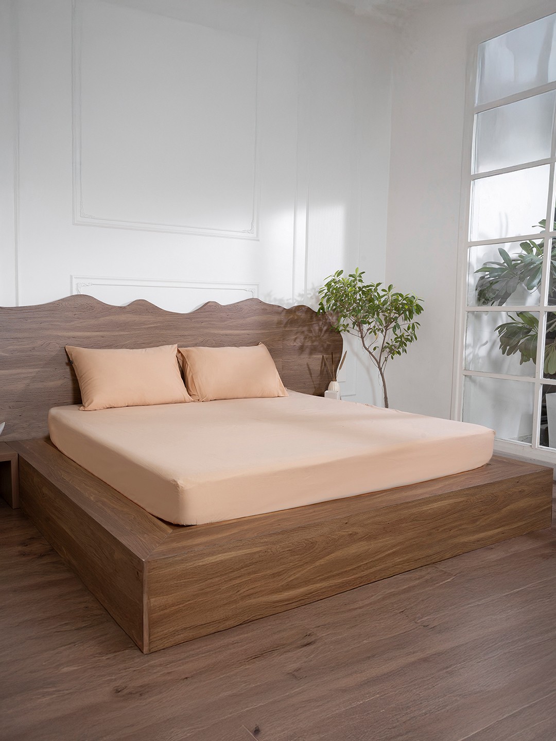 

BELIHODE Peach-Coloured Pure Cotton 500 TC King Fitted Bedsheet With 2 Pillow Covers