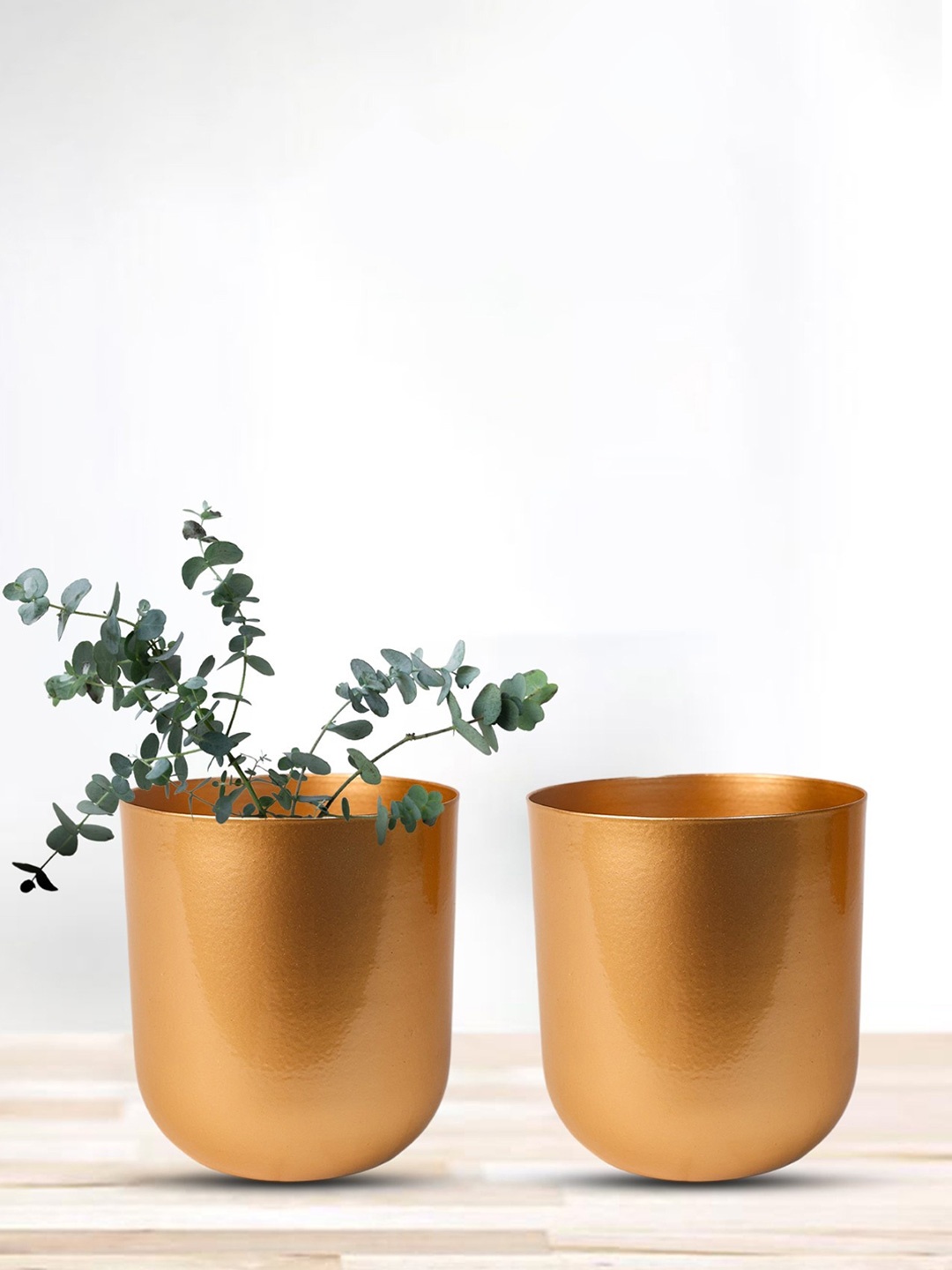 

Nymph Gold-Toned 2 Pieces Flower Planters