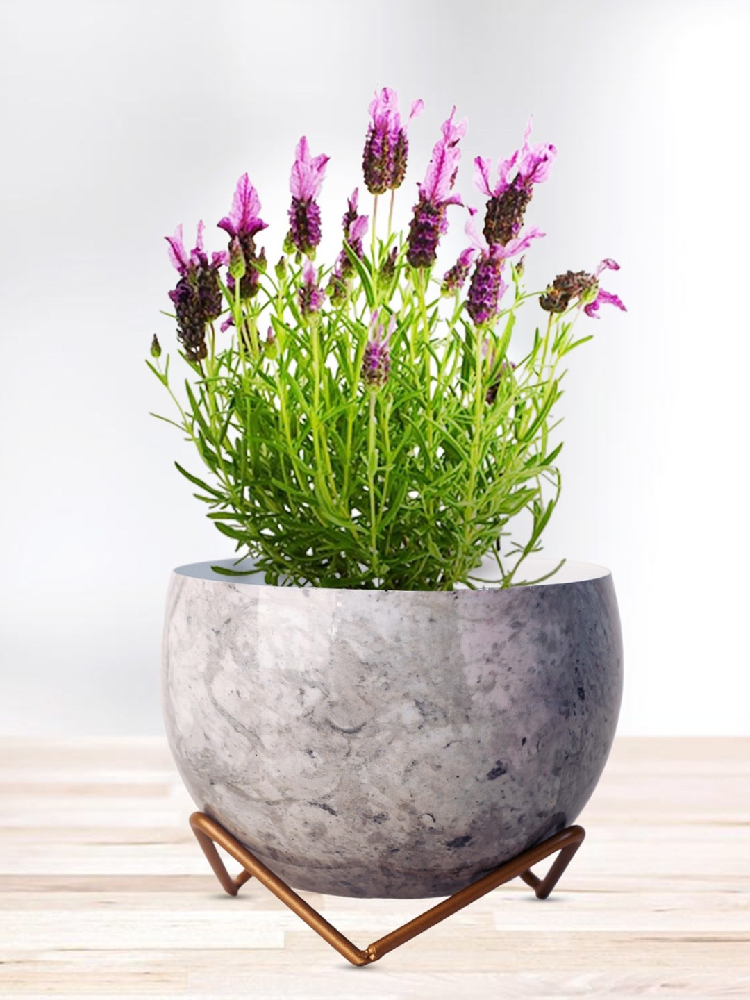 

Nymph White & Grey 2 Pieces Printed Planters With Stands