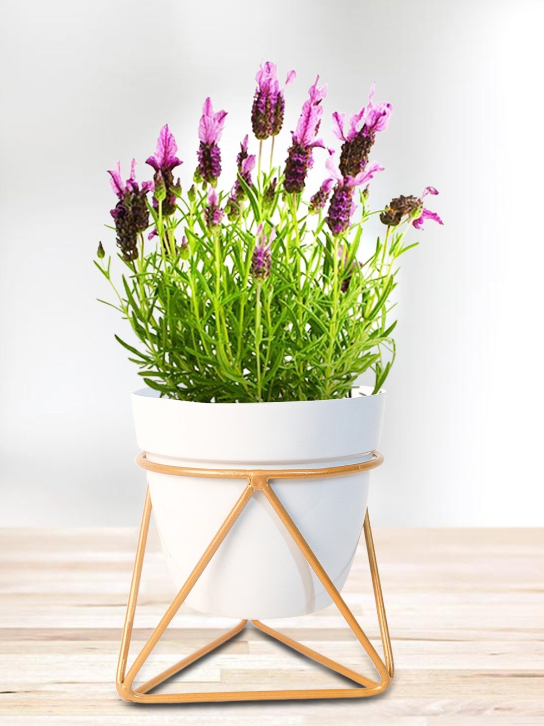 

Nymph White Planters Pot With Stand