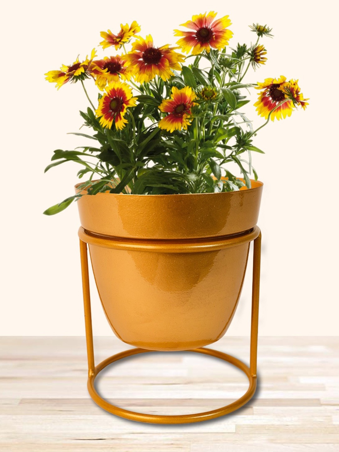 

Nymph Goldtoned 2 Pieces Planters With Stands, Gold