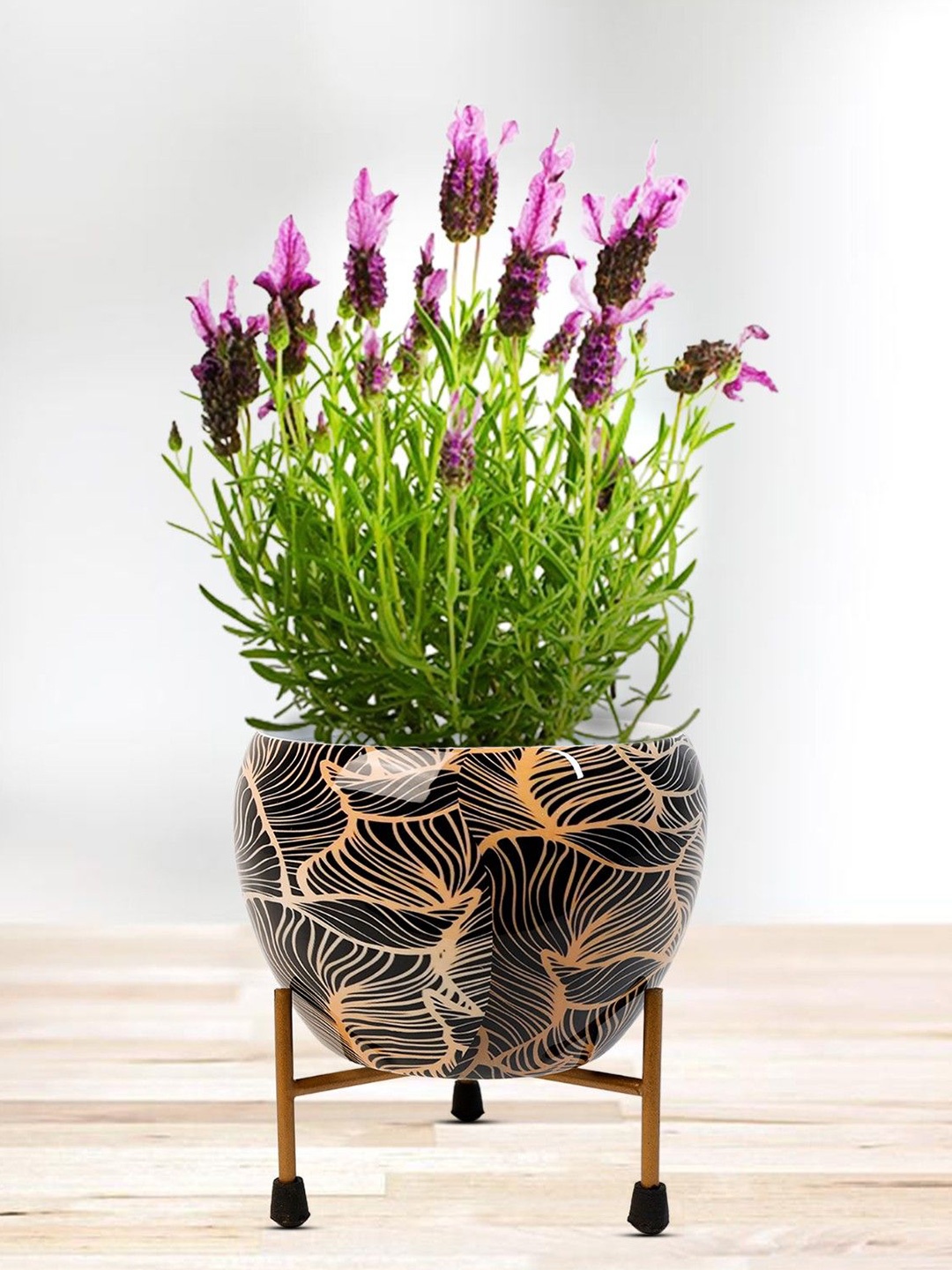 

Nymph Black Printed Flower Planters With Stand, Gold