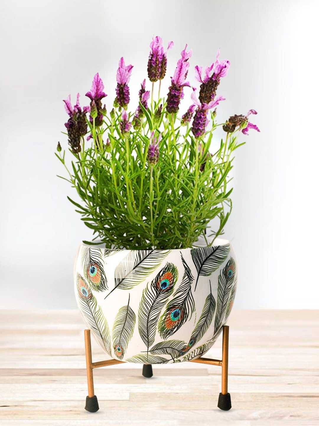 

Nymph Reva White & Green Printed Flower Planter With Stand