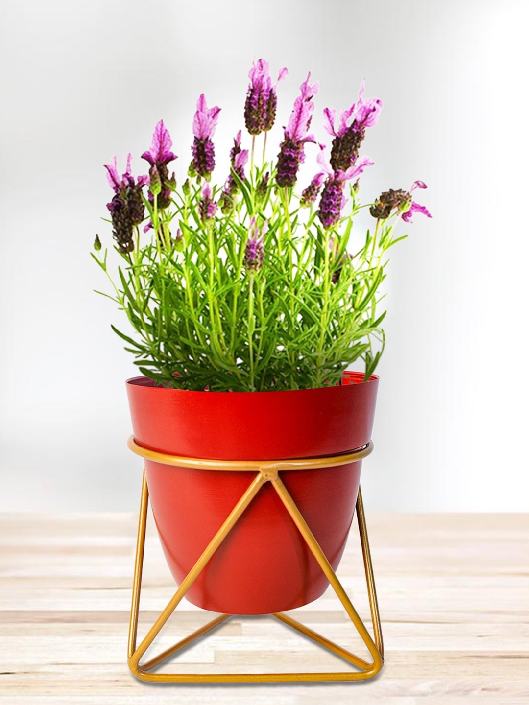 

Nymph Red 2 Pieces Steel Flower Planters With Stand