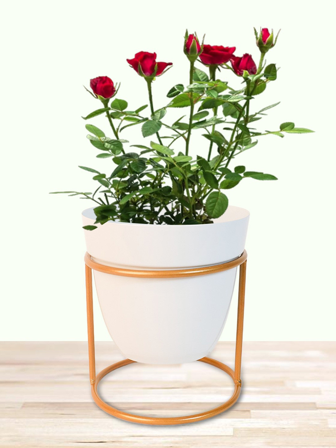 

Nymph White & Gold Toned 2 Pieces Steel Flower Planter With Stand