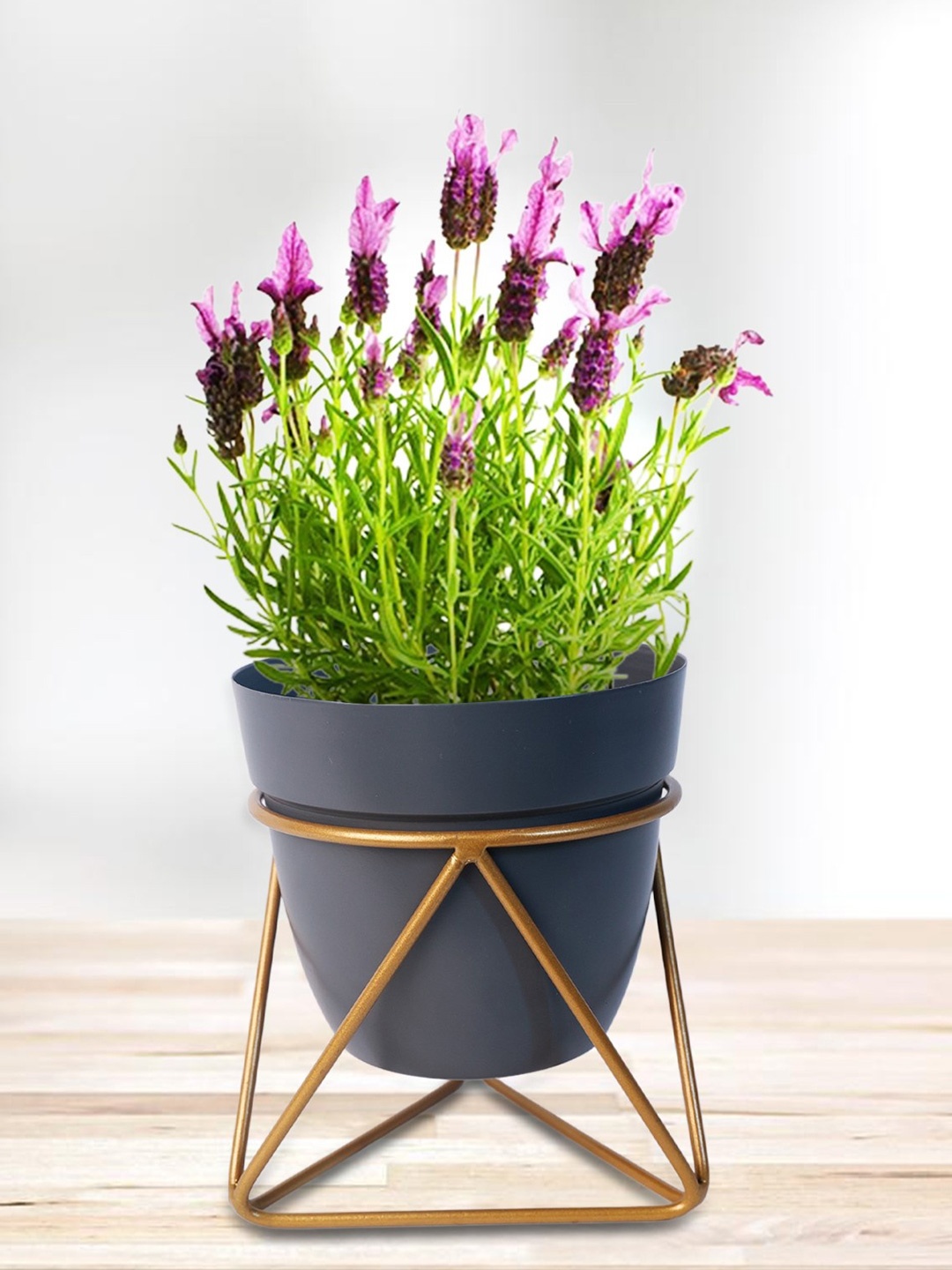 

Nymph Reva Blue & Gold-Toned 2 Pieces Flower Planters With Stand