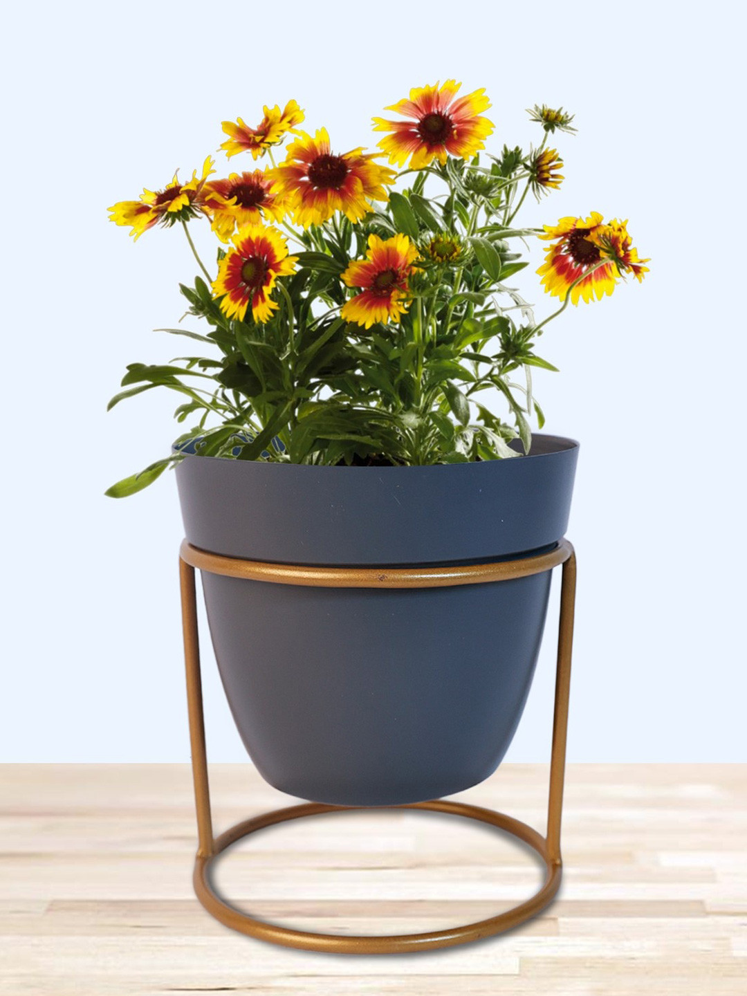 

Nymph Blue 2 Pieces Planters With Stand