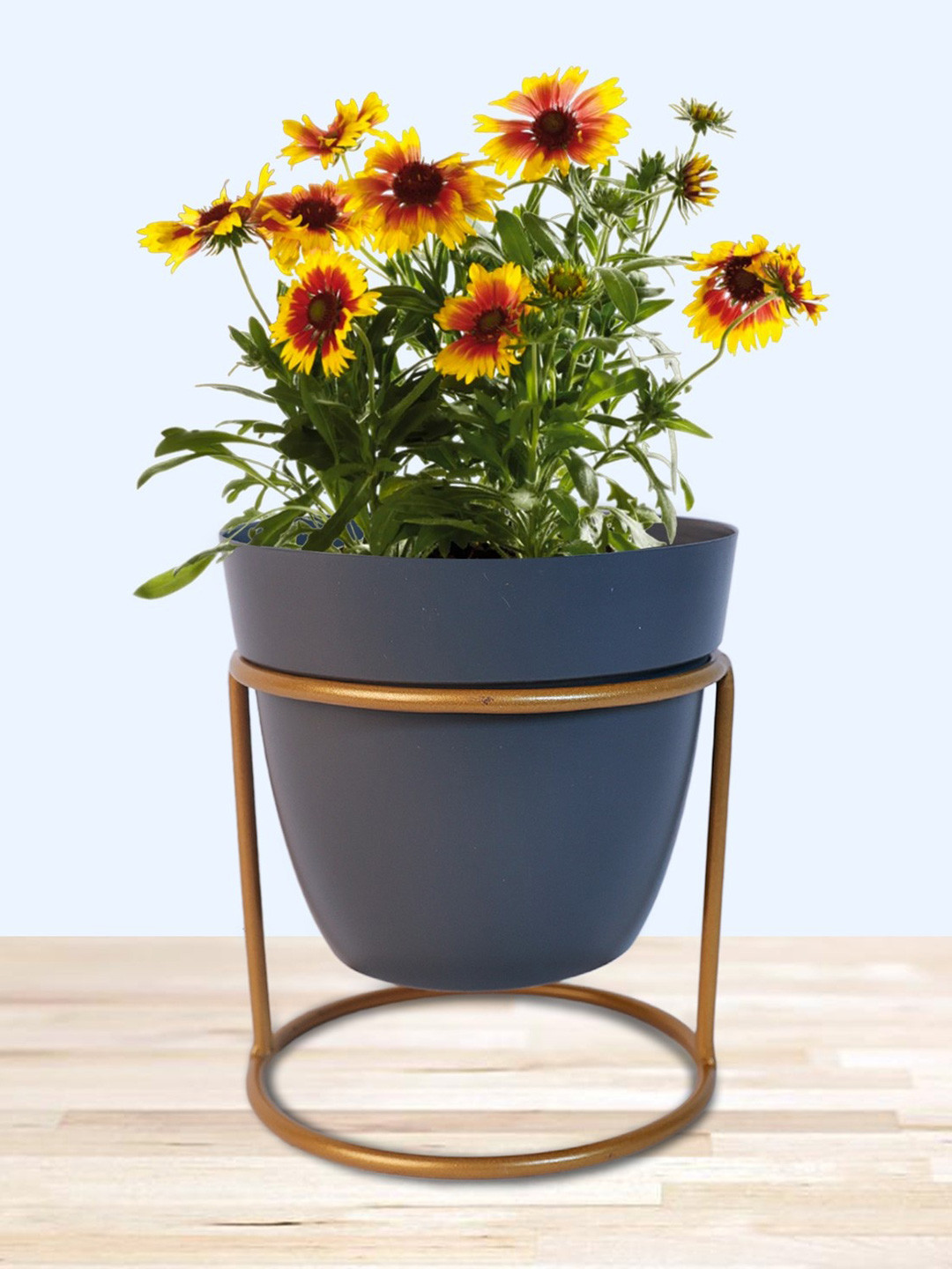 

Nymph Reva Blue & Gold-Toed Flower Planter With Stand