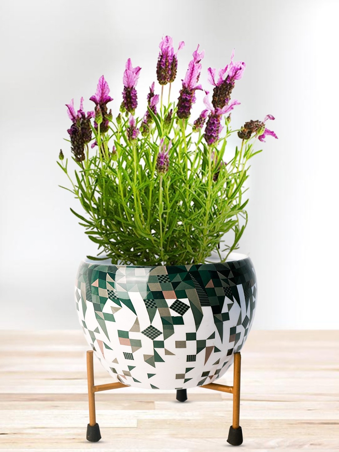 

Nymph Reva White & Green Printed Flower Planter With Stand