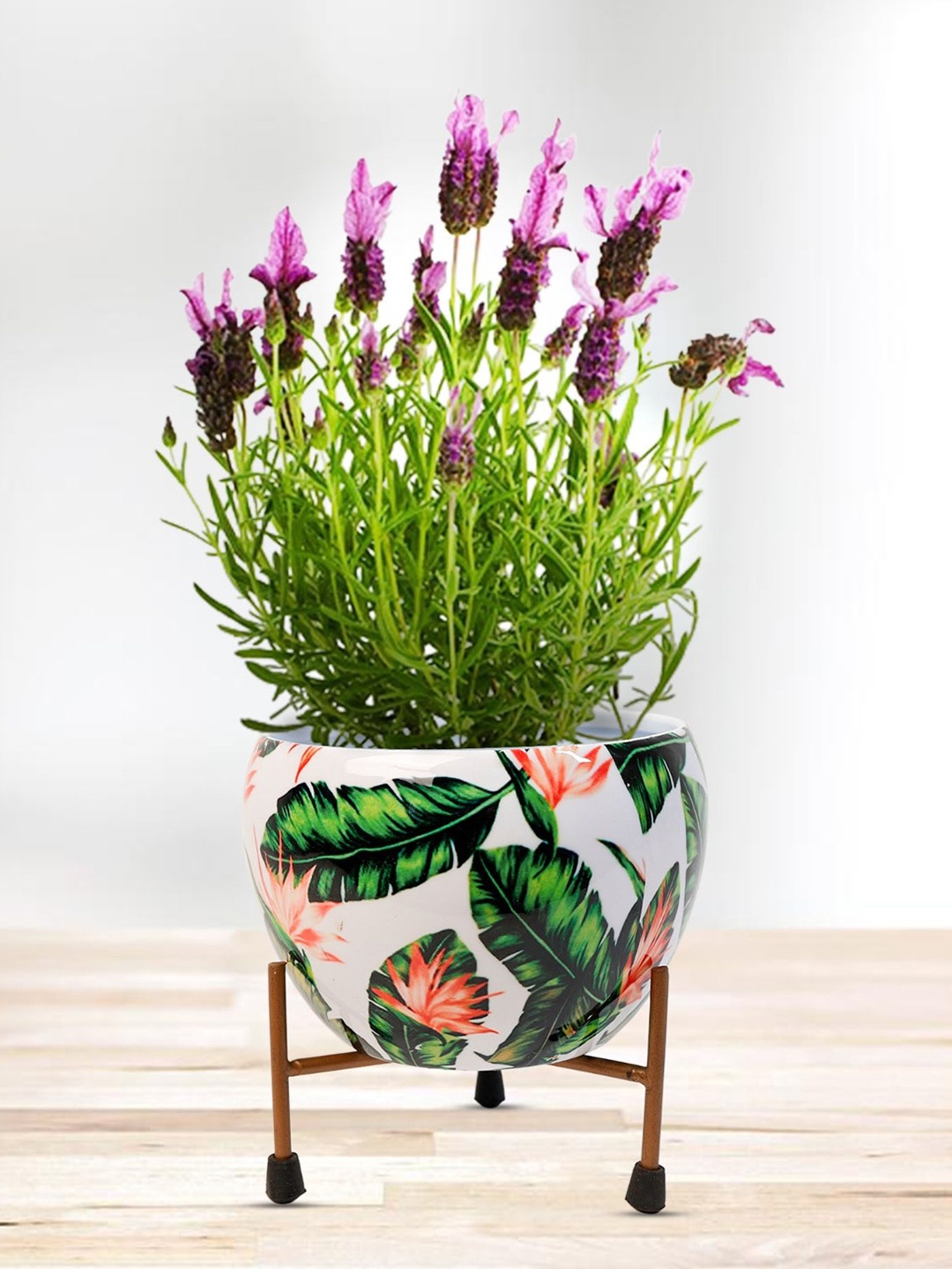 

Nymph White & Green 2 Pieces Printed Flower Planters With Stand