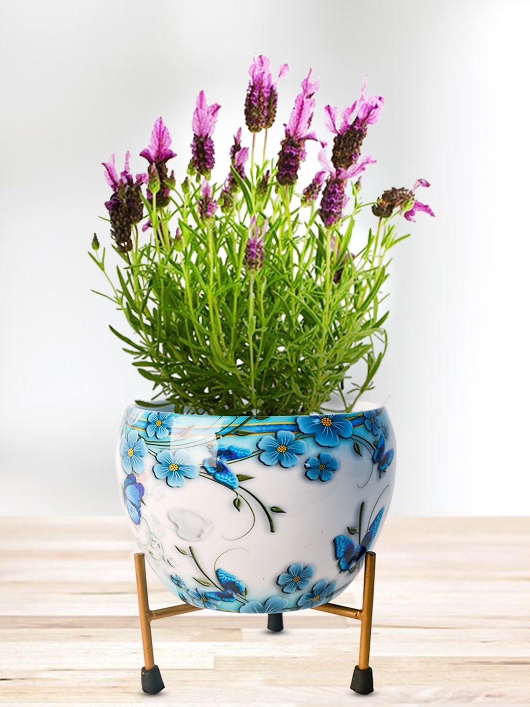 

Nymph Reva Home Blue & White 2 Pieces Printed Flower Planters With Stand
