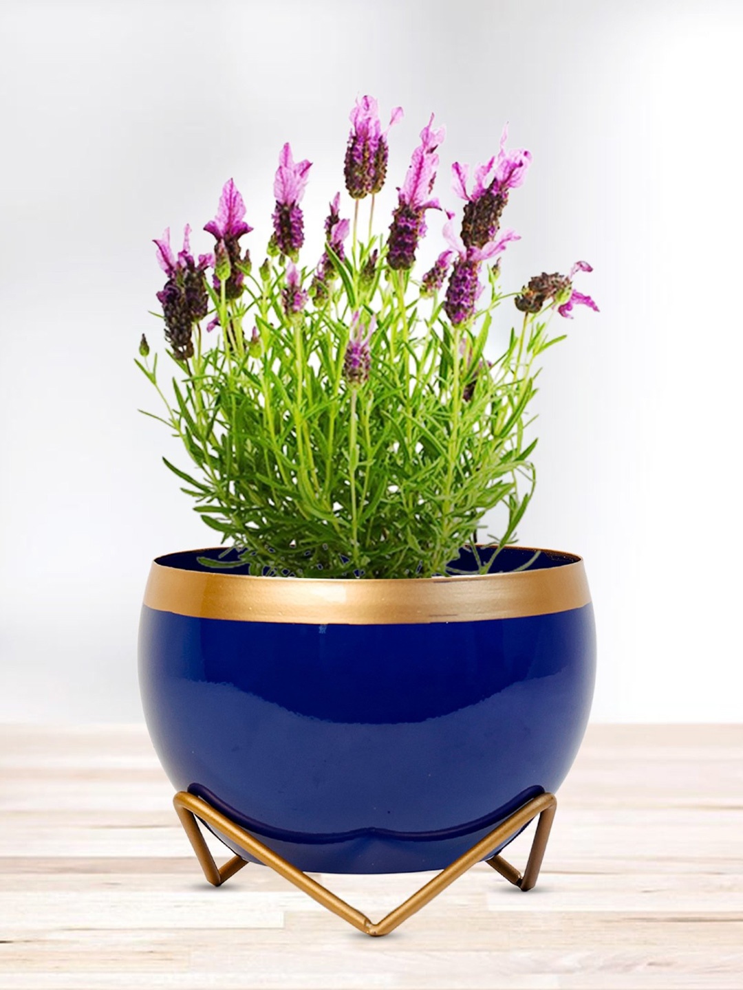 

Nymph Blue & Gold Toned Flower Planter With Stand