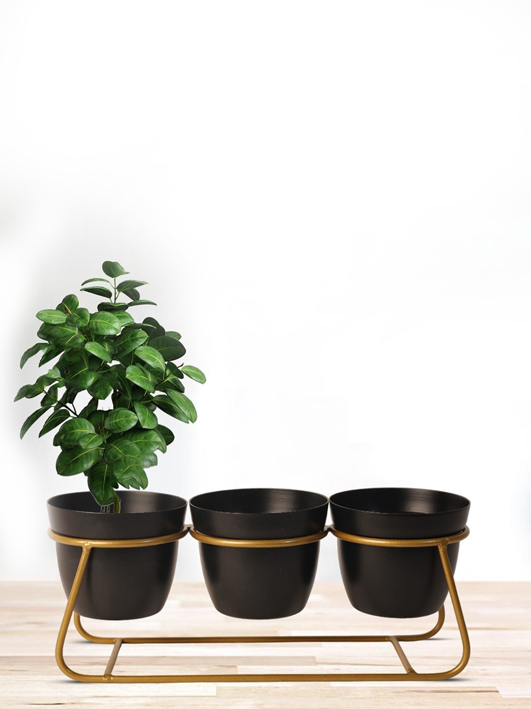 

Nymph Black & Gold Toned 2 Pieces Planters With Stand
