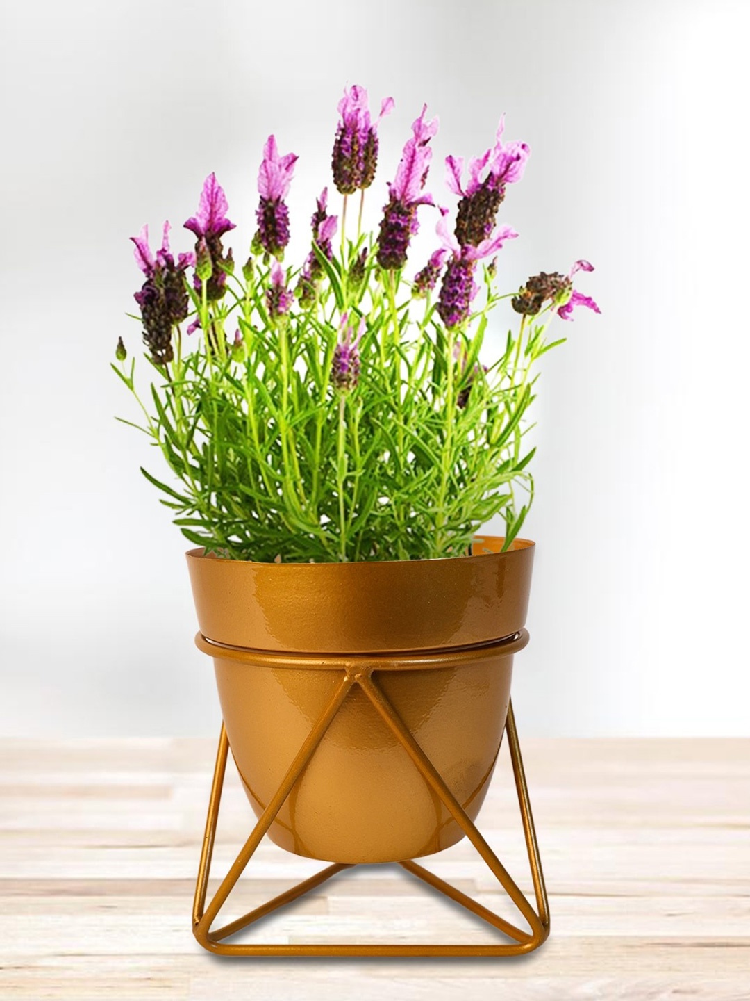 

Nymph Reva Home Gold-Toned Flower Planters With Stand