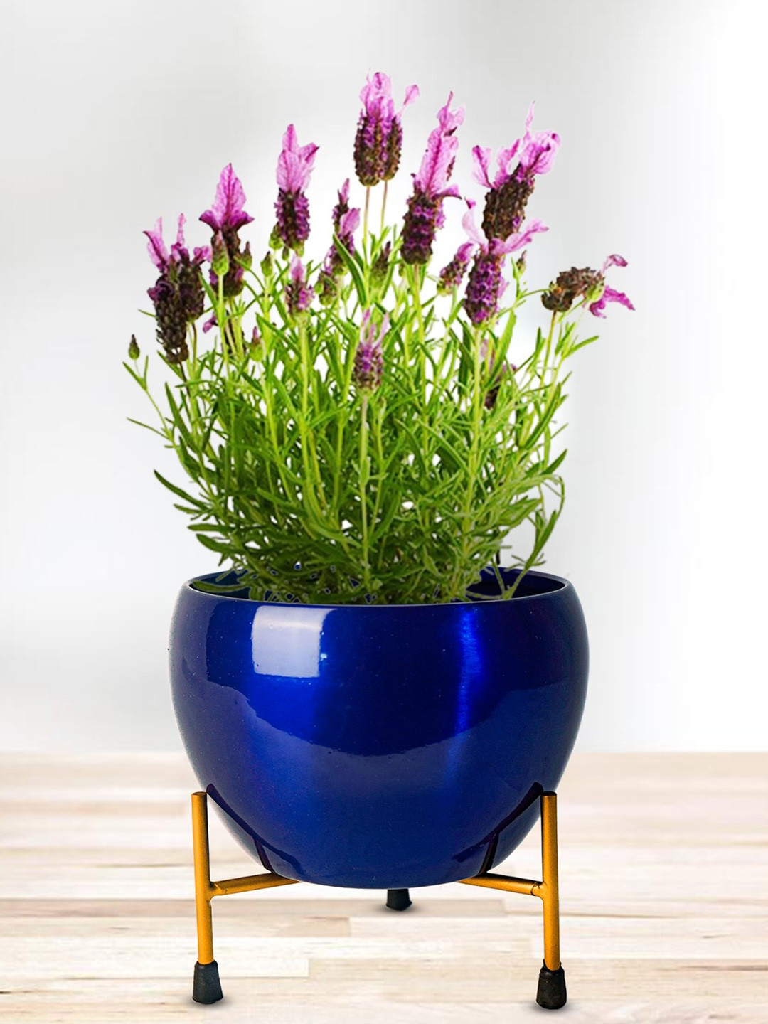 

Nymph Blue Planters With Stand