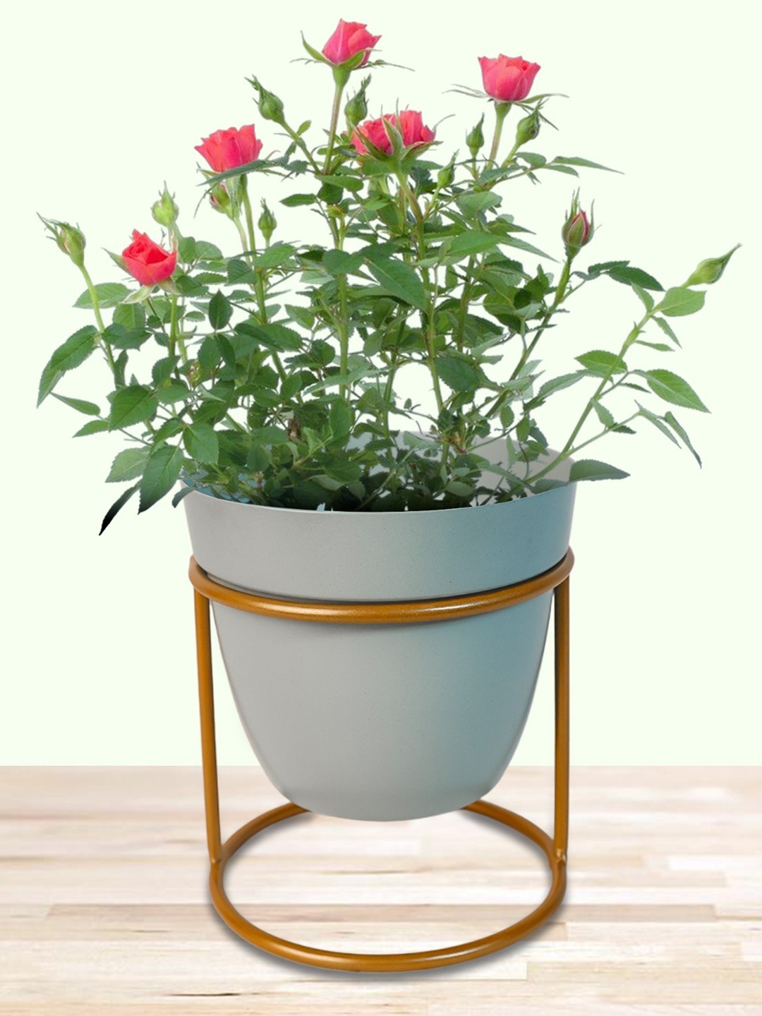 

Nymph Blue Flower Planters With Stand